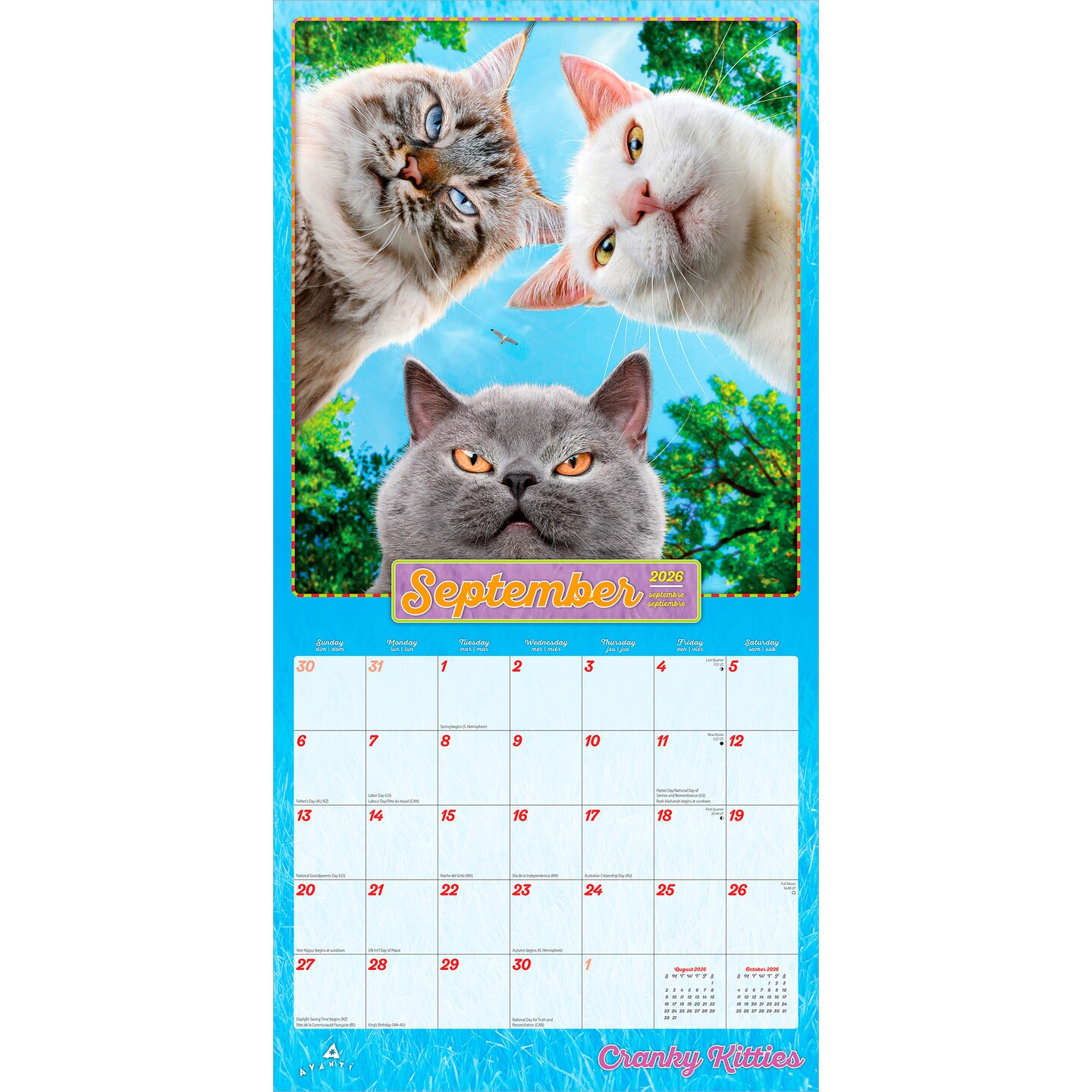 Avanti Cranky Kitties OFFICIAL | 2026 12 x 24 Inch (Hanging) Monthly Square Wall Calendar | Foil Stamped Cover | Plastic-Free | BrownTrout | Angry Cat Humor Feline