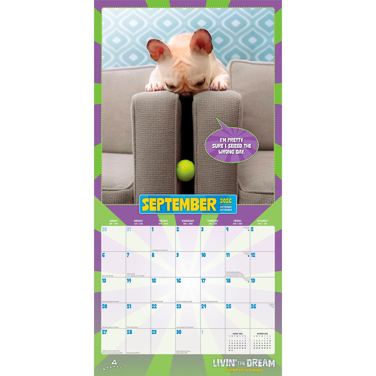 Avanti Livin' the Dream OFFICIAL | 2026 12 x 24 Inch (Hanging) Monthly Square Wall Calendar | Foil Stamped Cover | Plastic-Free | BrownTrout | Motivation Inspiration Funny