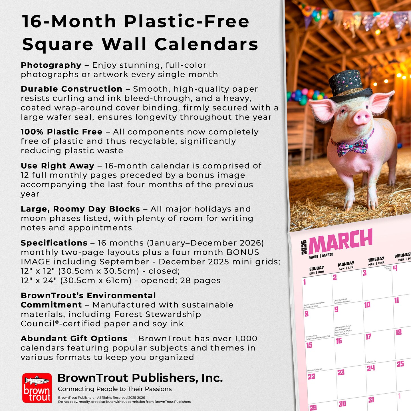 Pigsty | 2026 12 x 24 Inch (Hanging) Monthly Square Wall Calendar | Plastic-Free | BrownTrout | Domestic Pet Farm Animals