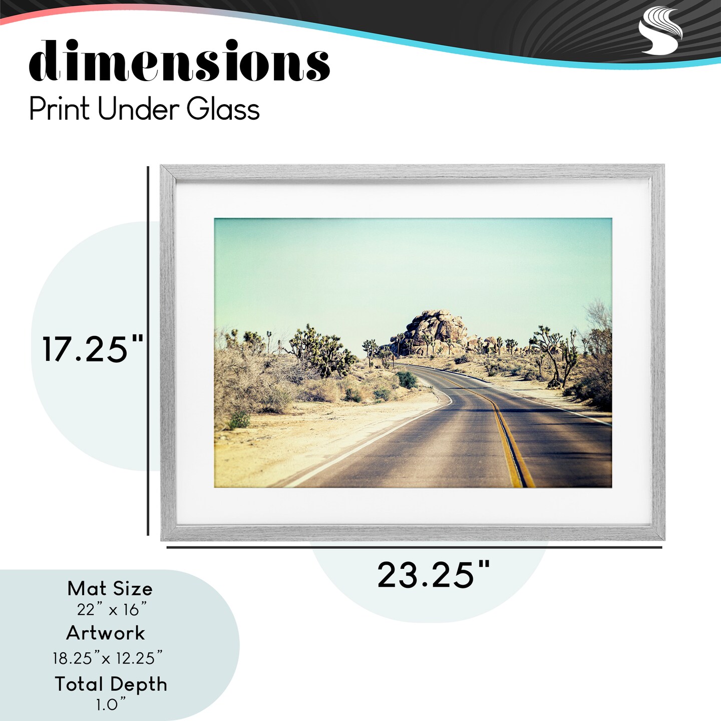 Stupell Industries Road Trip Joshua Tree Park Framed Print Under Glass, design by Joseph S Giacalone