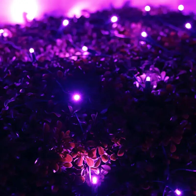 5mm 4&#x27; x 6&#x27; Purple LED Net Lights