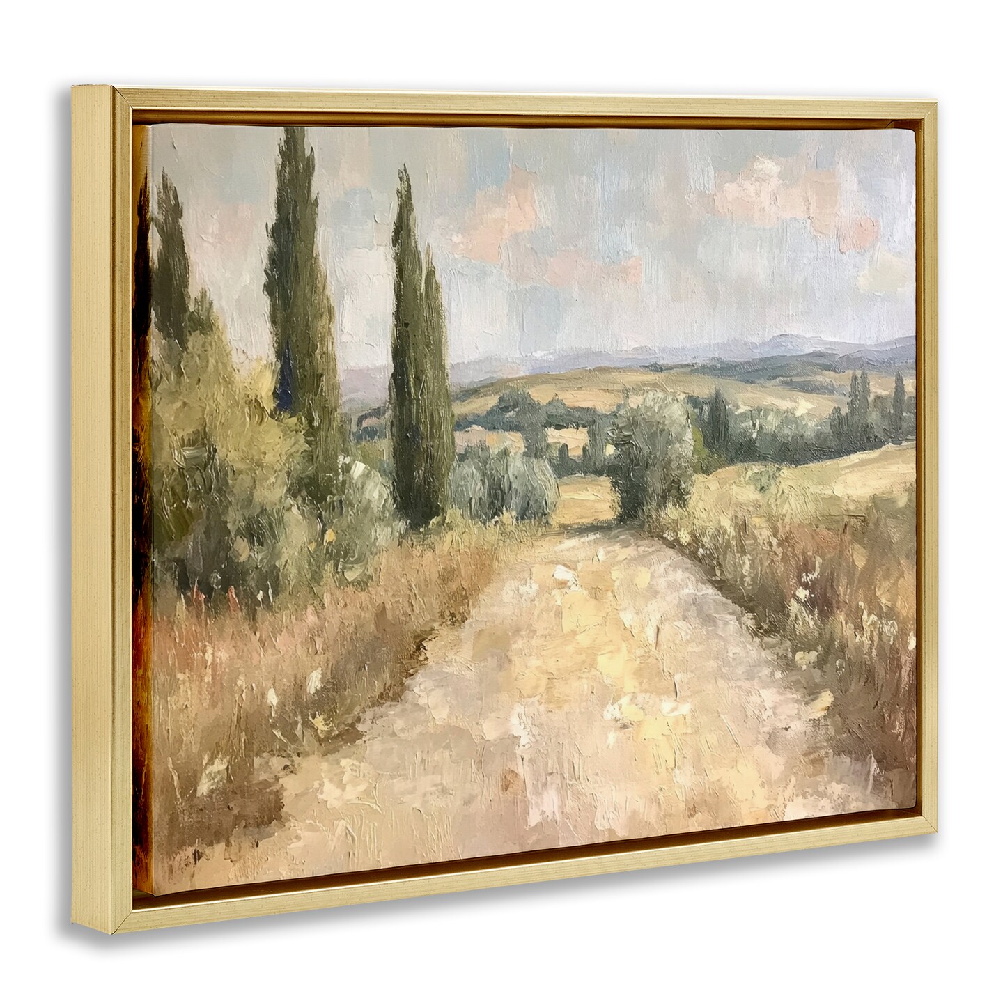 Stupell Industries Rural Trail Landscape Floating Frame Design by Petal Prints Design
