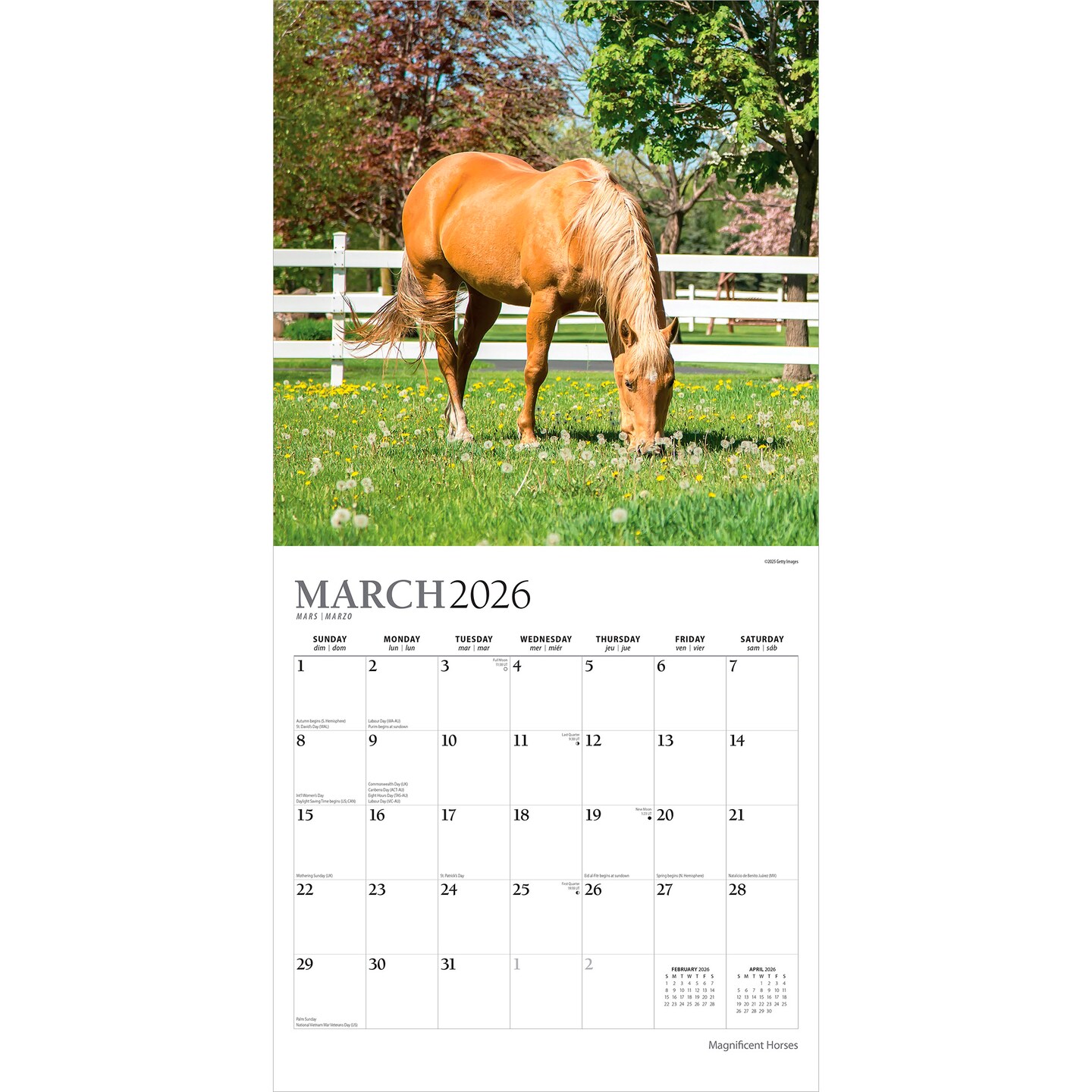 Magnificent Horses | 2026 12 x 24 Inch (Hanging) Monthly Square Wall Calendar | Foil Stamped Cover