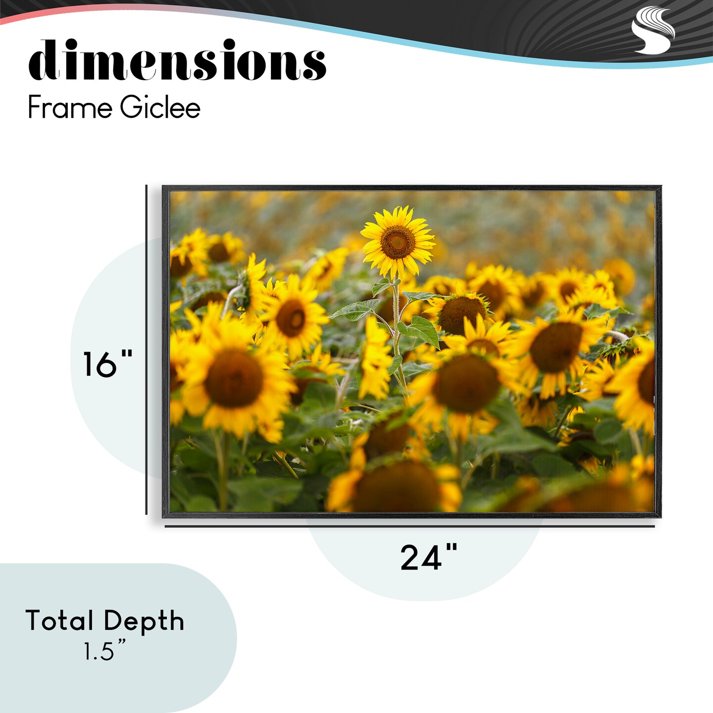 Stupell Industries Central Sunflower in Meadow Framed Giclee, design by Andy Crawford