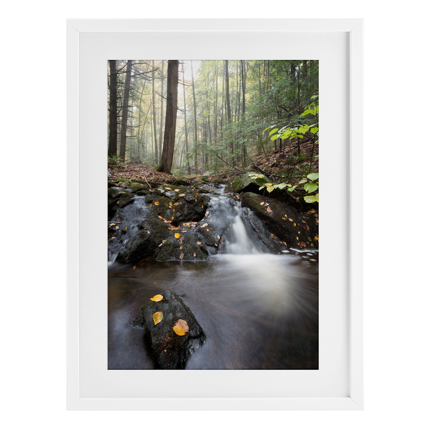 Stupell Industries Misty Stream Adirondacks Framed Print Under Glass, design by James Rodewald