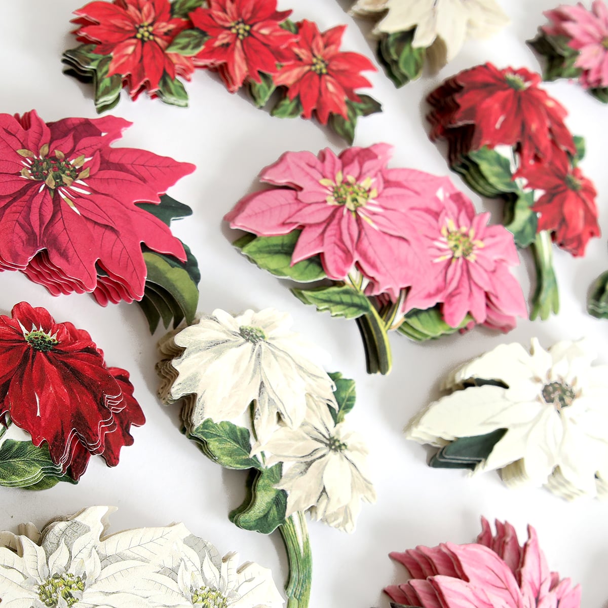 Poinsettia Stickers