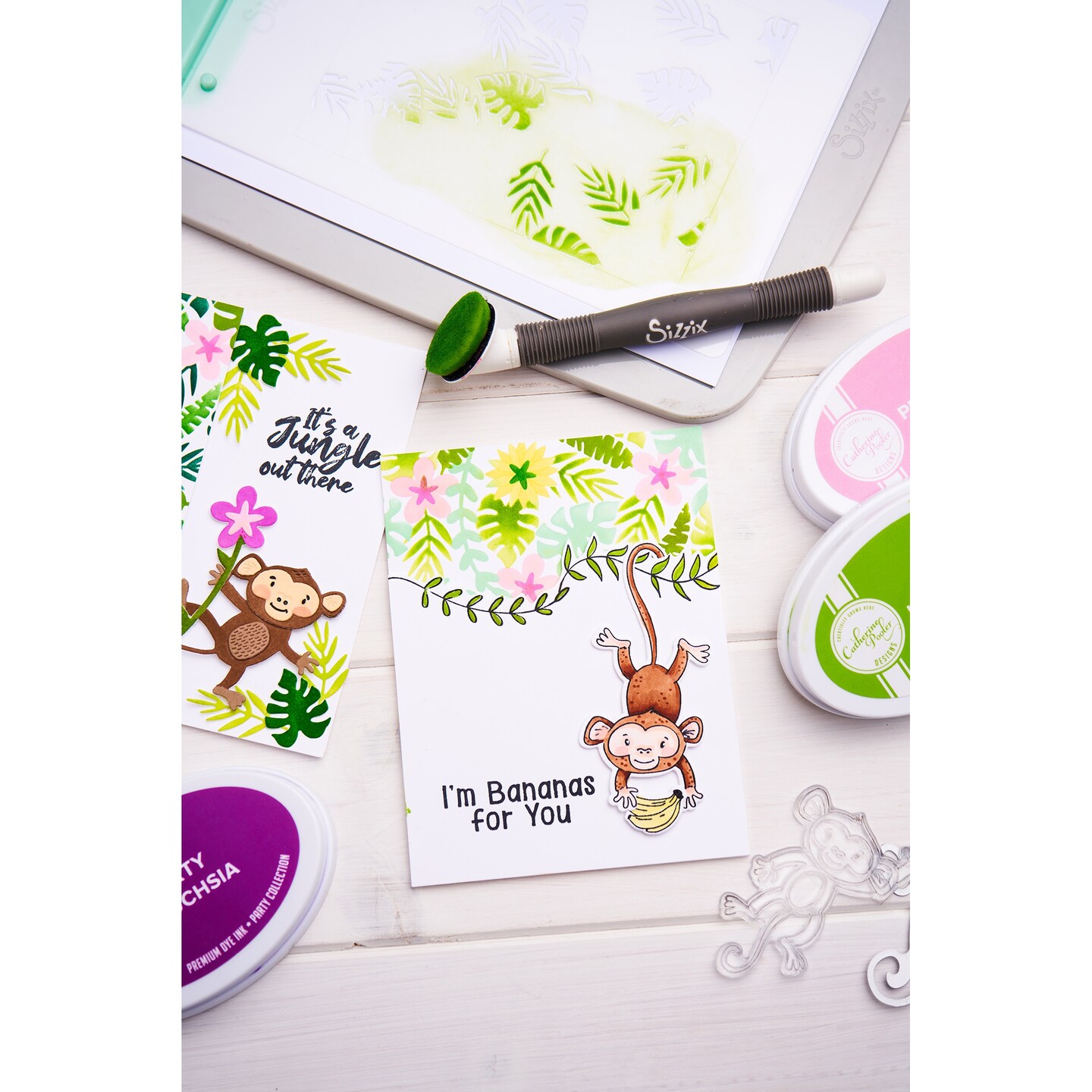 Catherine Pooler Bundle 1-Going Wild for Bananas Die & Stamp Set