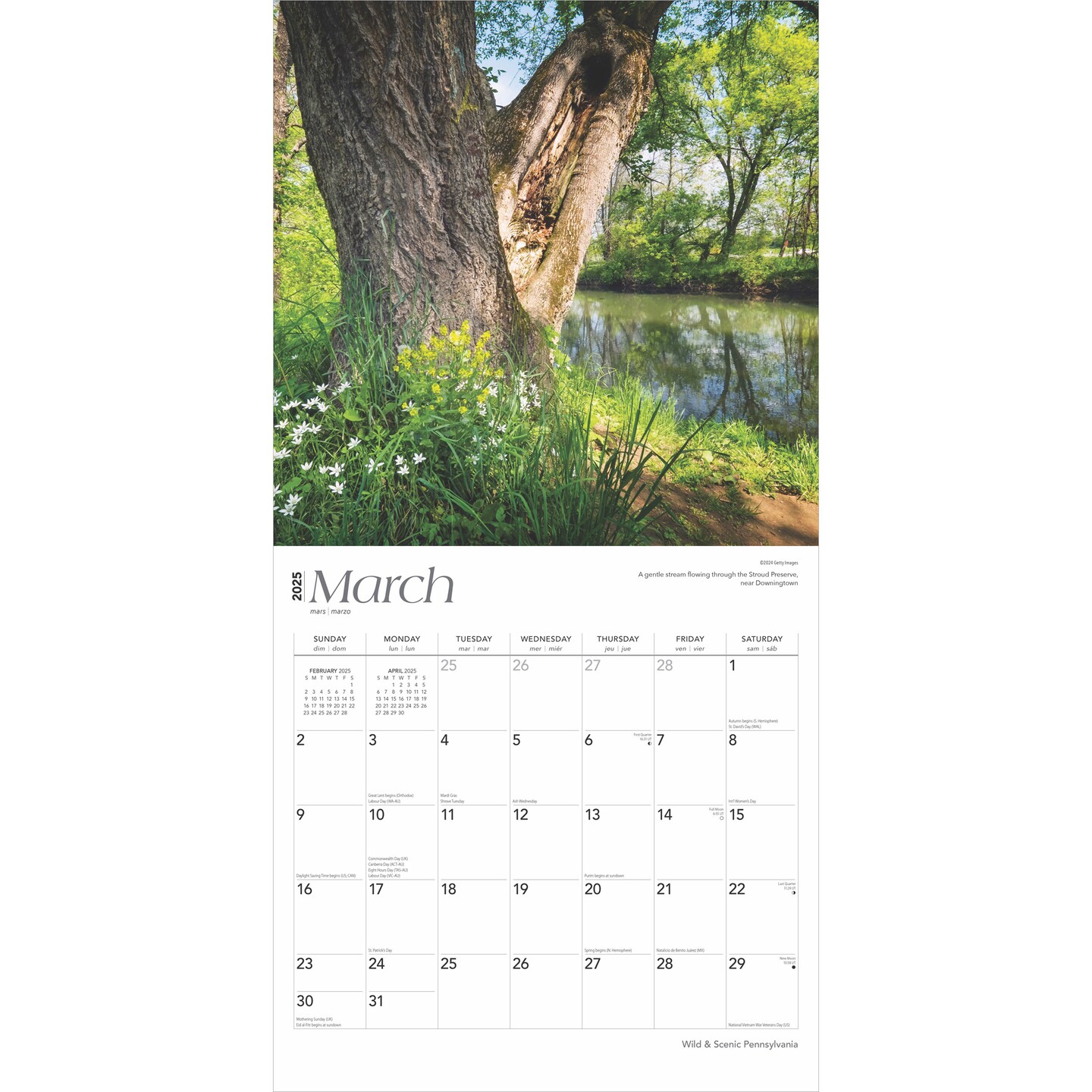 Pennsylvania Wild &#x26; Scenic | 2025 12 x 24 Inch Monthly Square Wall Calendar | Plastic-Free | BrownTrout | USA United States of America Northeast State Nature