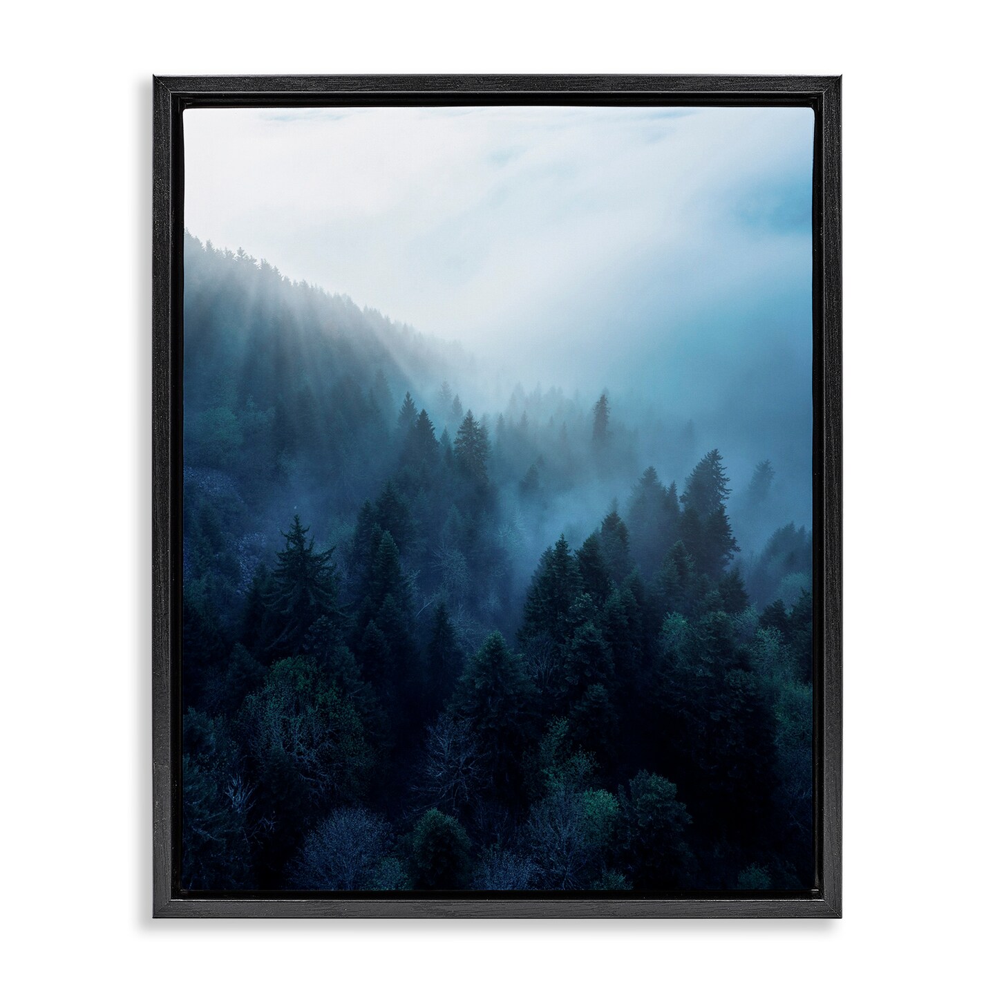 Stupell Industries Daylight over Pine Forest Framed Floater Canvas Wall Art