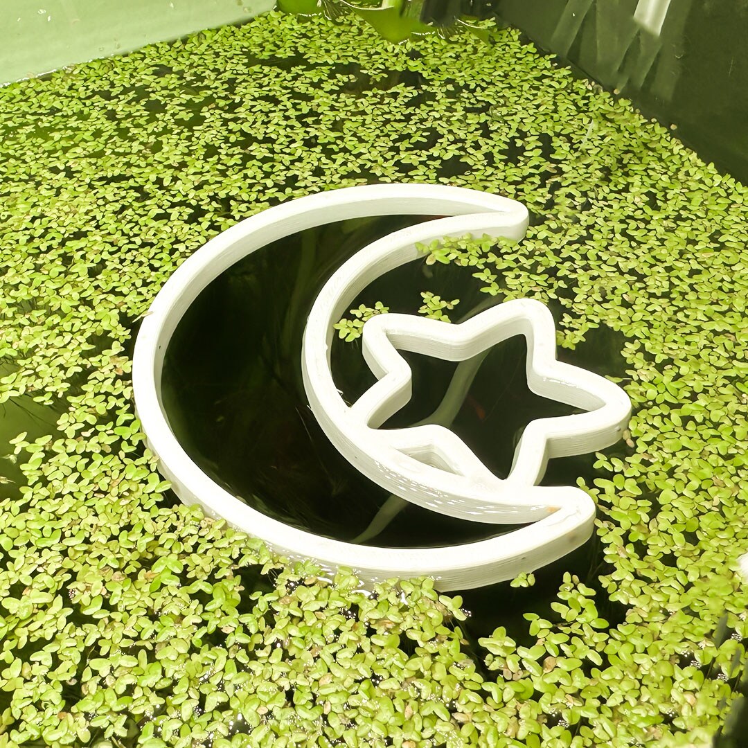 Fish Feeding Portal (Moon) | ALGAE-RESISTANT Beta Training, Food Corral ...