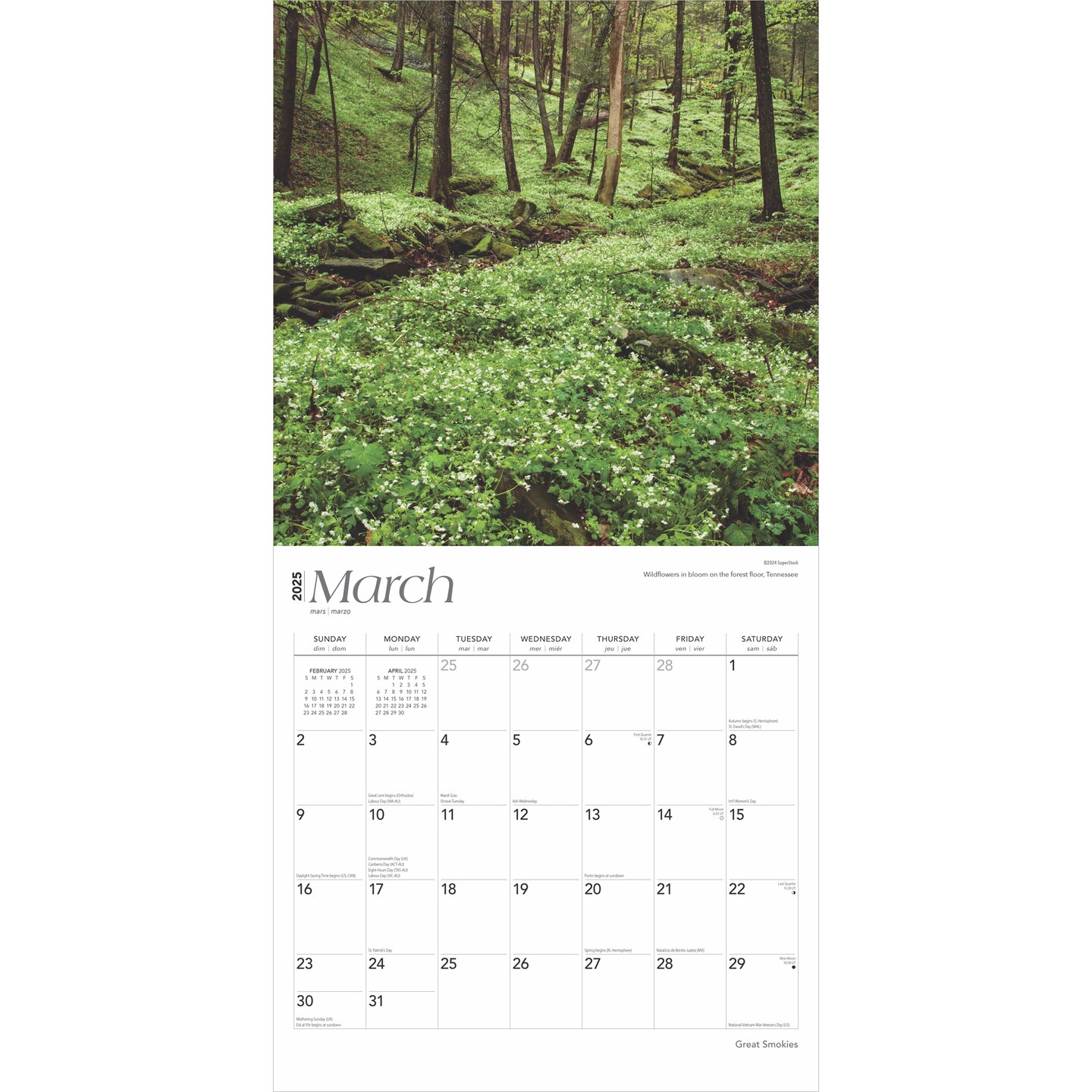 Great Smokies | 2025 12 x 24 Inch Monthly Square Wall Calendar | Plastic-Free | BrownTrout | USA United States of America Scenic Nature Mountain