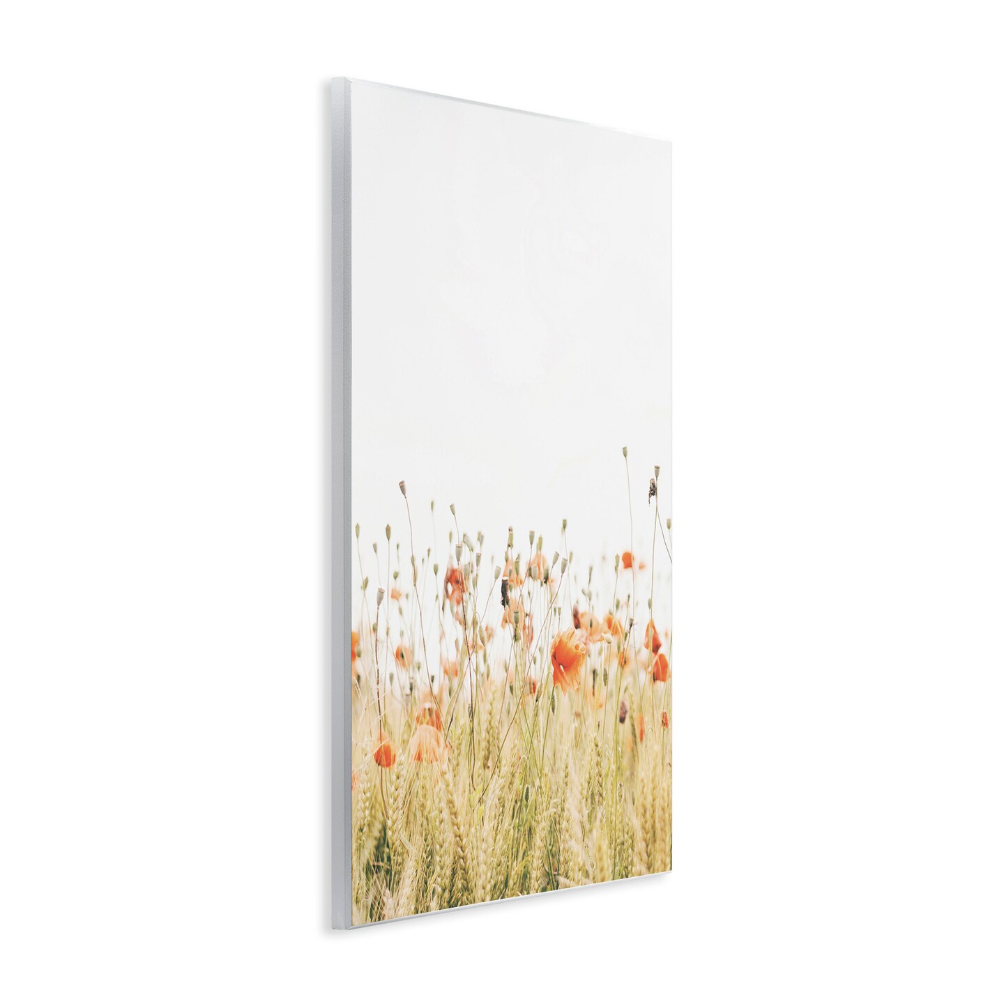 Stupell Industries Poppy Field Photography Wall Plaque Art