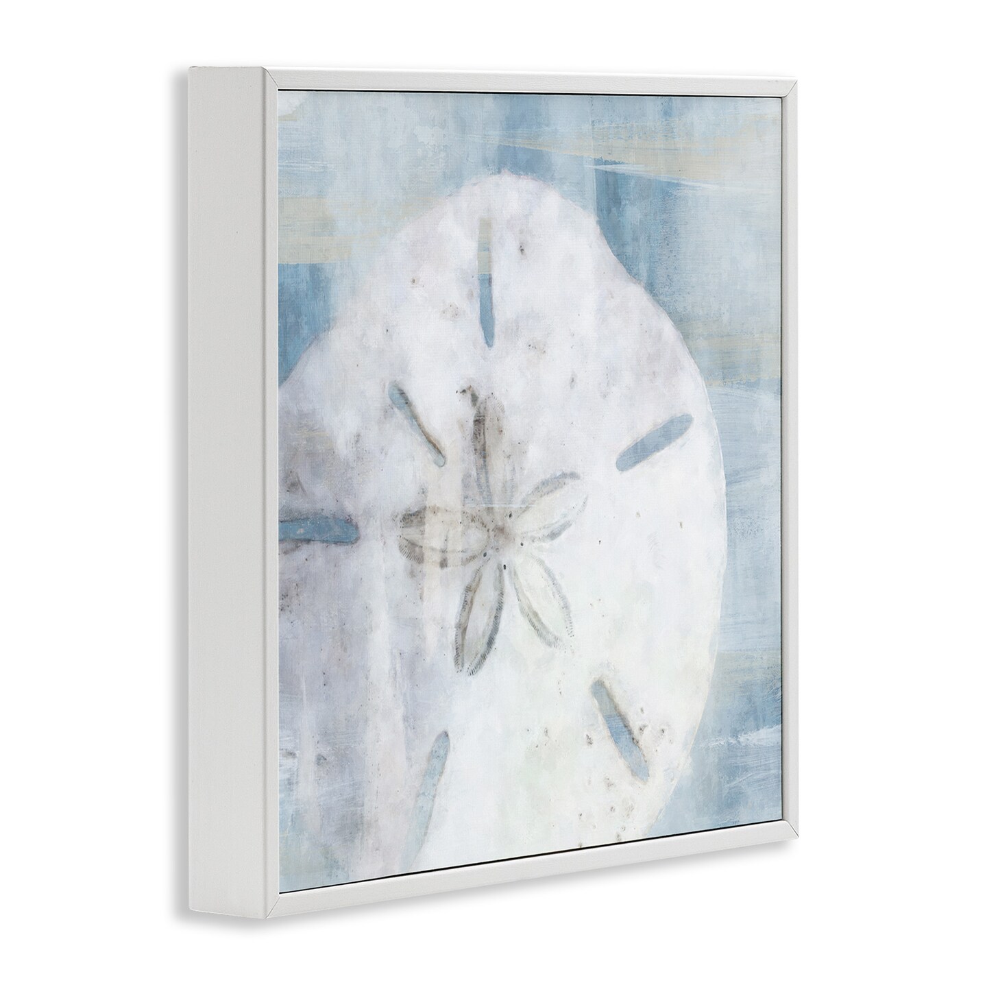 Stupell Industries Pastel Blue Sand Dollar Seashell Black Framed Giclee Art