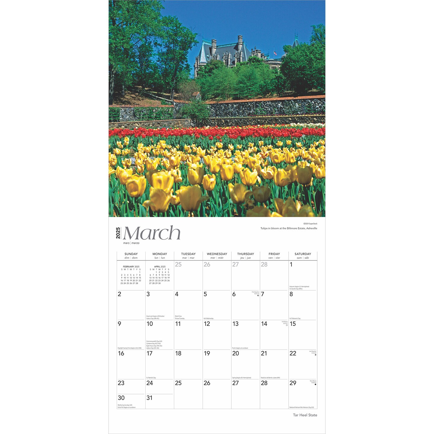 Tar Heel State | North Carolina Places | 2025 12 x 24 Inch Monthly Square Wall Calendar | Plastic-Free | BrownTrout | USA United States of America Southeast State Nature