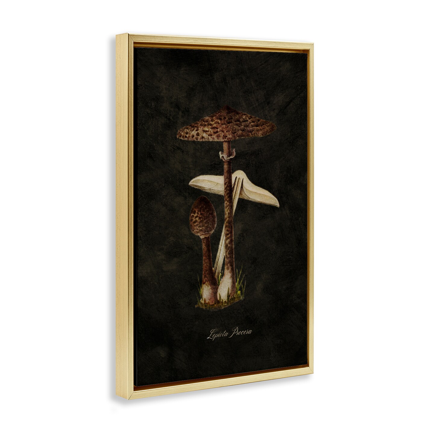 Stupell Industries Dark Woodland Mushroom Framed Floater Canvas Wall Art Design by Tina Higgins Designs, Inc.