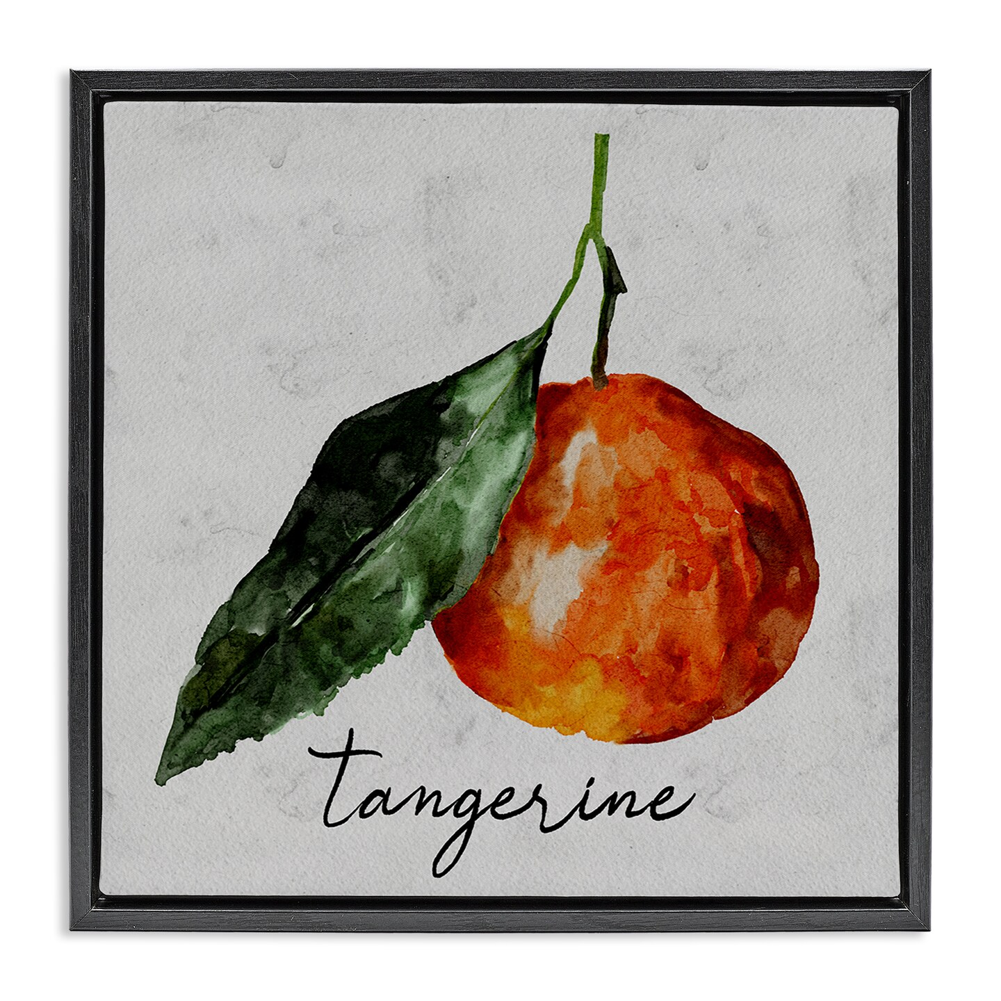 Stupell Industries Vintage Tangerine Fruit Framed Floater Canvas Wall Art Design by Regina Moore