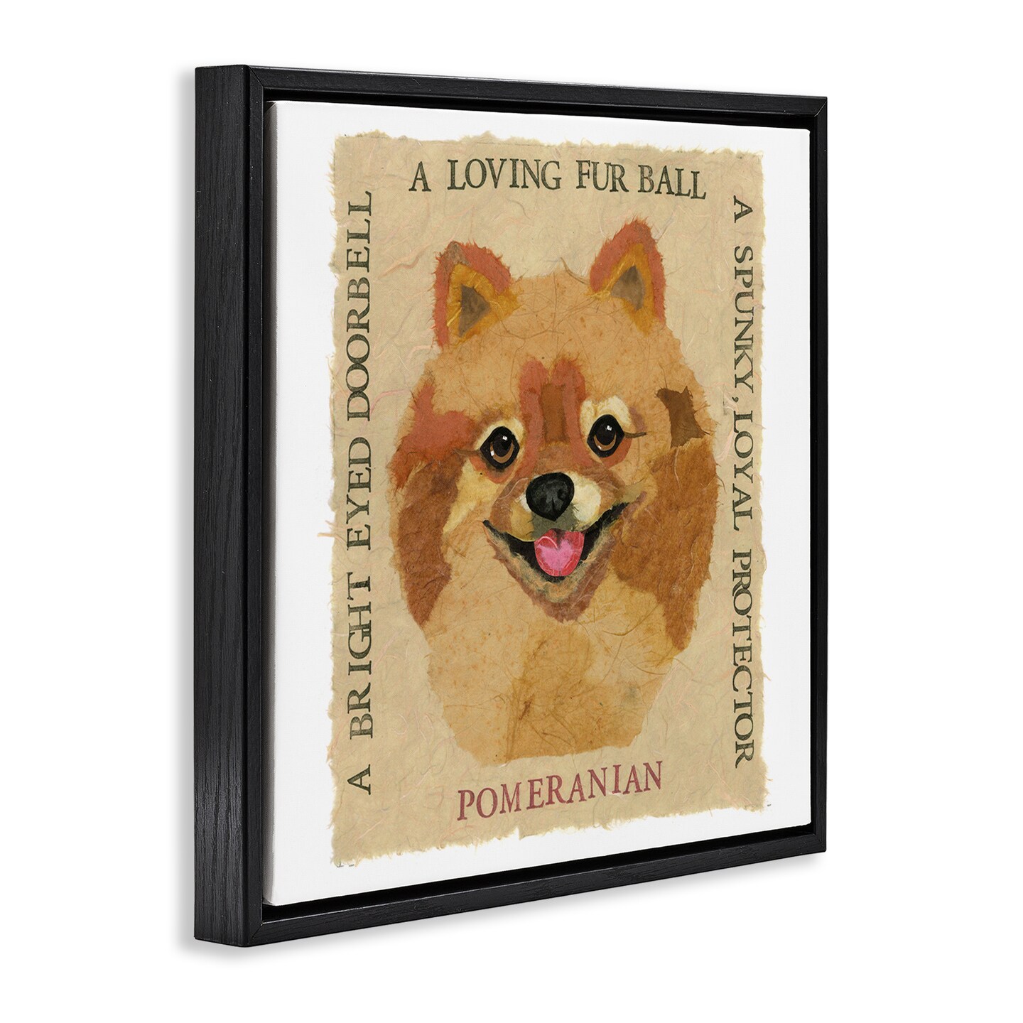 Stupell Industries Fun Pomeranian Pet Phrases Framed Floater Canvas Wall Art Design by Nancy Overton