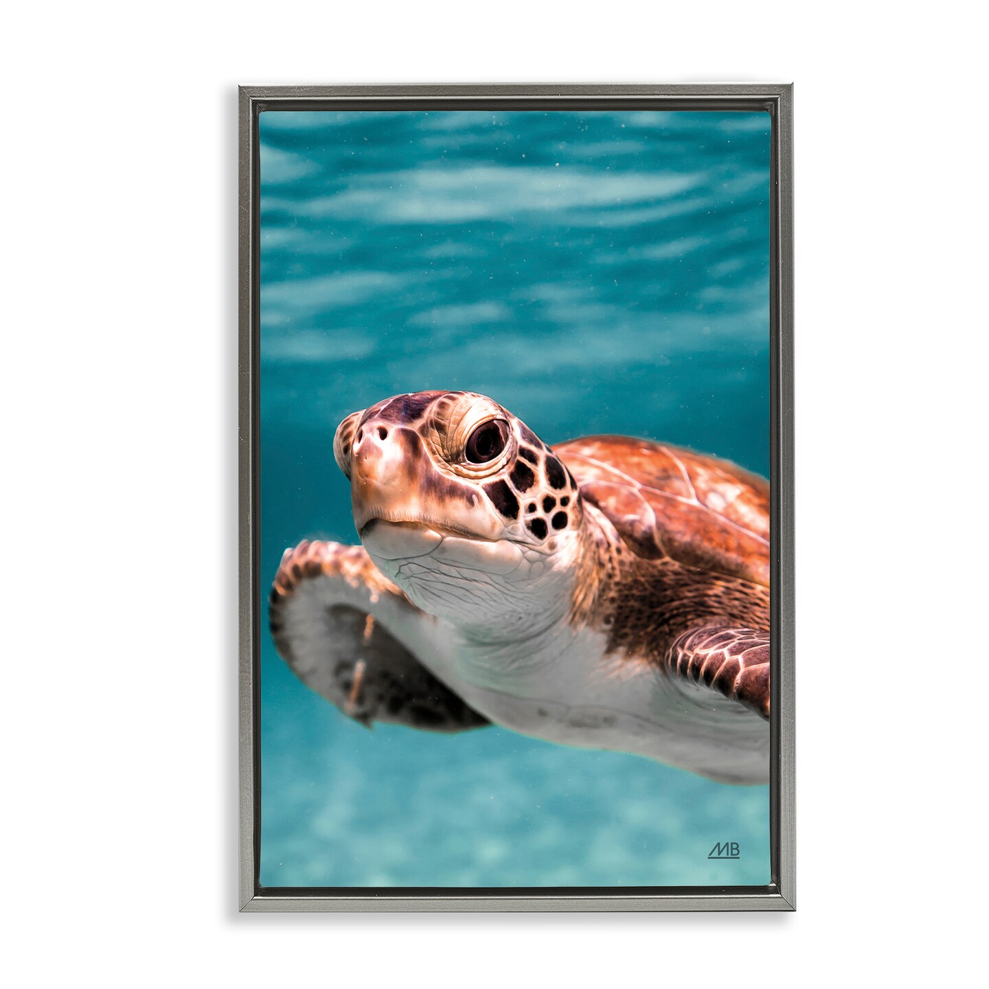 Stupell Industries Underwater Sea Turtle Swim Framed Floater Canvas Wall Art Design by Max Blakesberg Studios