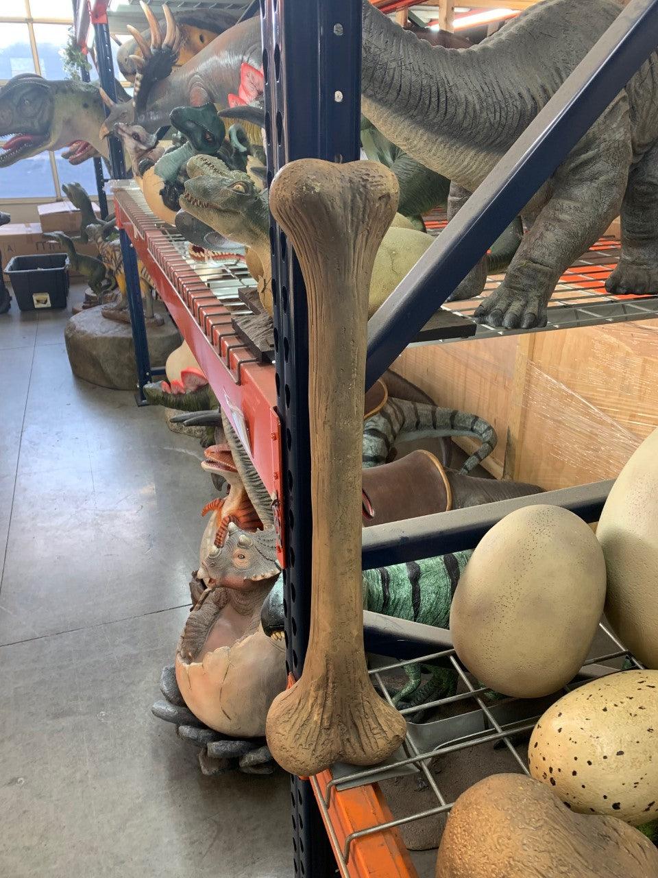 Small Dinosaur Bone Life Size Statue