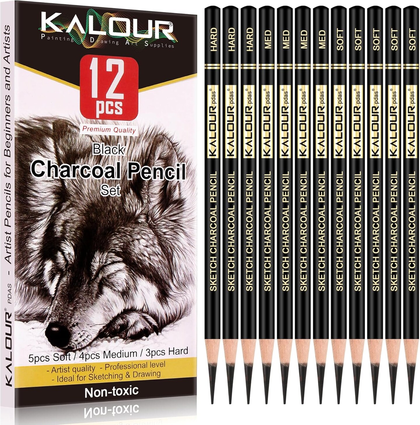 Professional Charcoal Pencil Set – 12 Pieces of Soft, Medium, and Hard Pencils for Drawing, Sketching, Shading, for Beginners & Artists