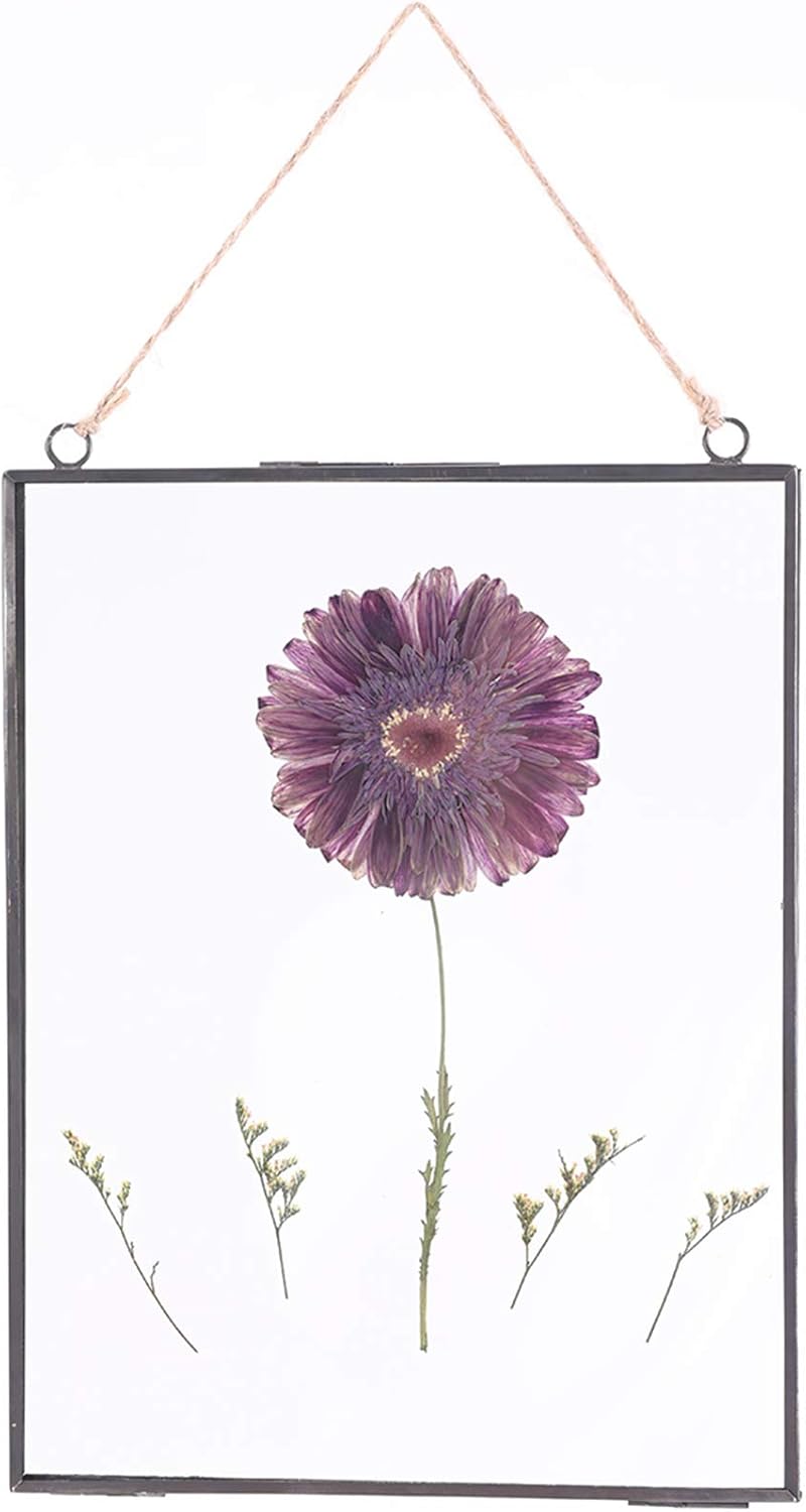 Glass Frame for Pressed Flowers, Wall Floating Brass Picture Frame for Pressed Flower, 11 x 8 Inch Large Copper Double Glass Photo Frame, Hanging Frame for Artwork Certificate Display(Black)