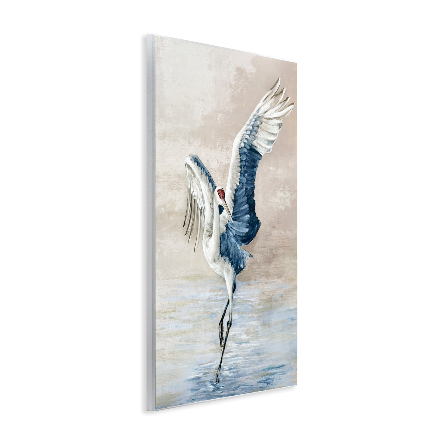 Stupell Industries Dancing Crane on Shore Wall Plaque Art Design by Eli Jones