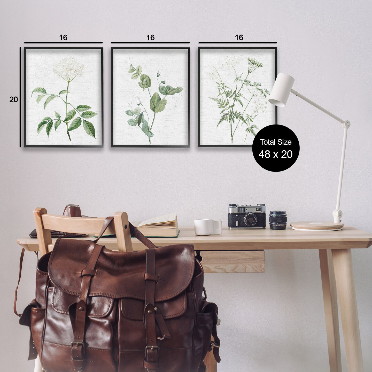 Stupell Industries Soft White Botanicals 3pc Framed Giclee Wall Art Set Design by Lettered and Lined