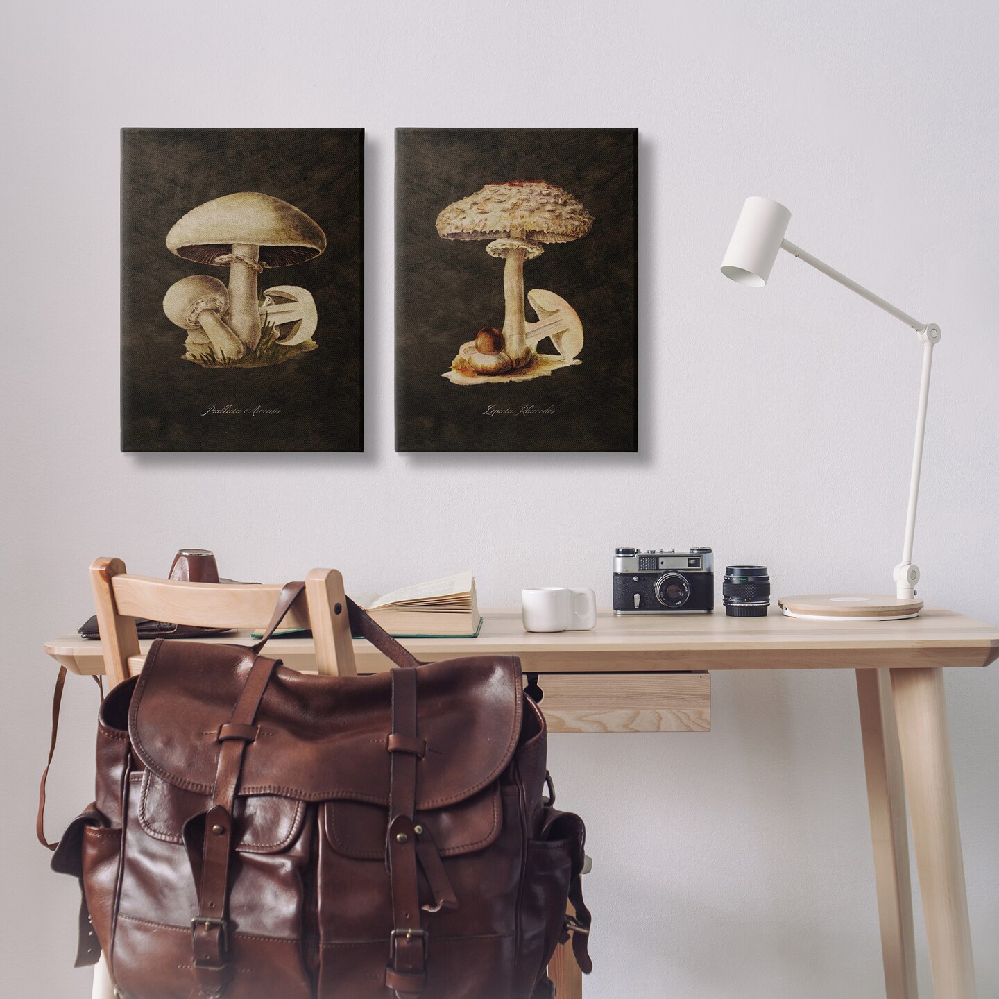Stupell Industries Vintage Mushrooms on Black 2pc Canvas Wall Art Set Design by Tina Higgins Designs, Inc.