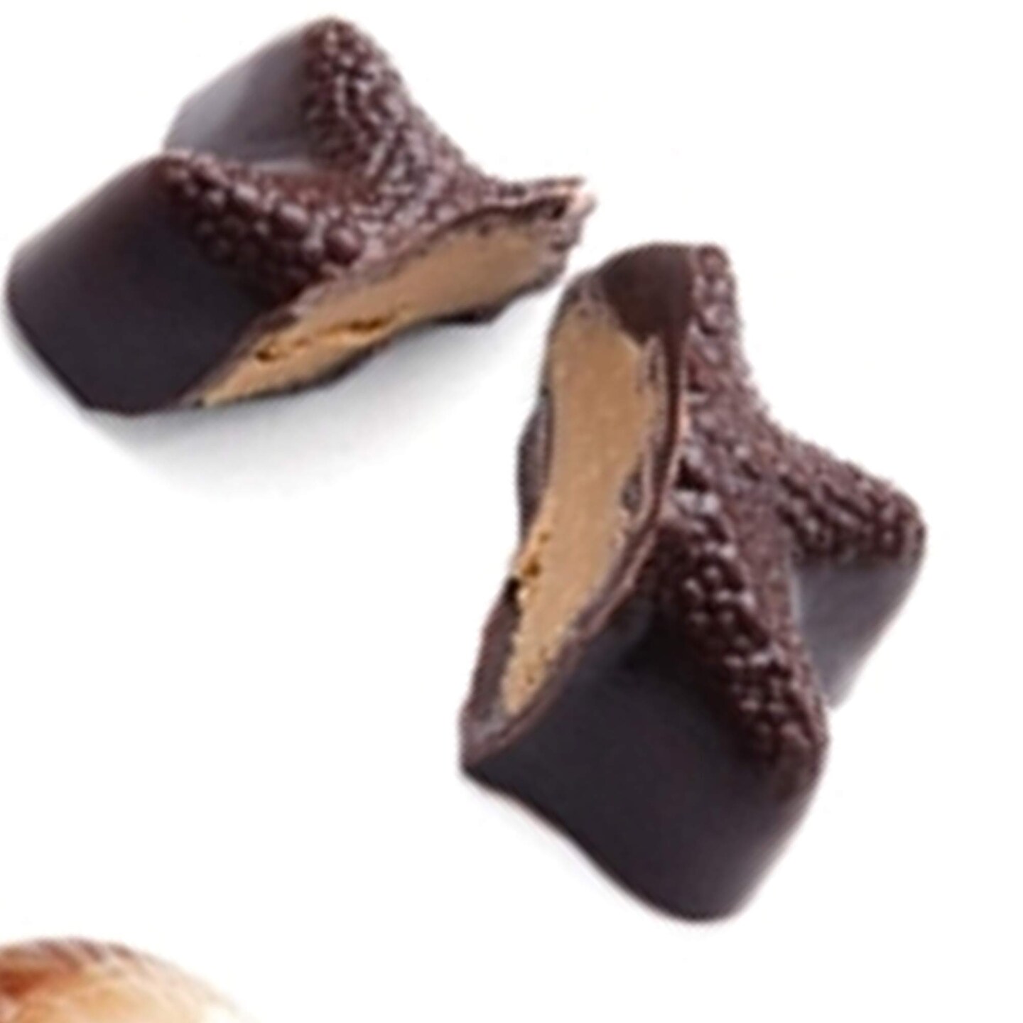 Seashell Continental Chocolate Mold for Elegant Party Favors