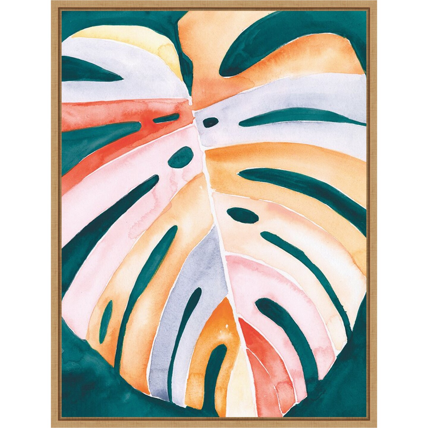 Multicolor Monstera I by Jennifer Paxton Parker Framed Canvas Wall Art,  Size: 23 in. W x 30 in. H | Michaels