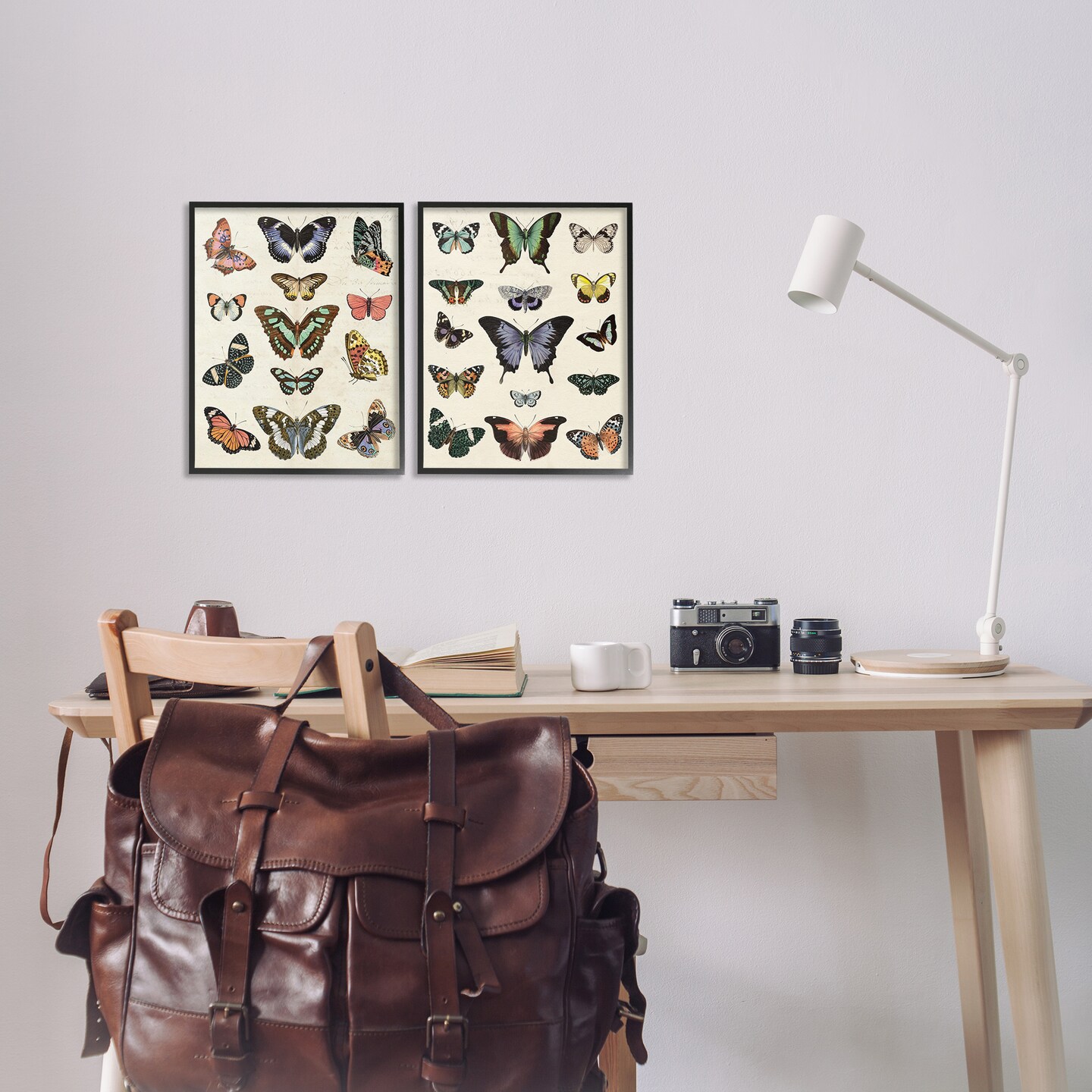 Stupell Industries Antique Butterfly Collection 2pc Framed Giclee Wall Art Set Design by Susan Arnot
