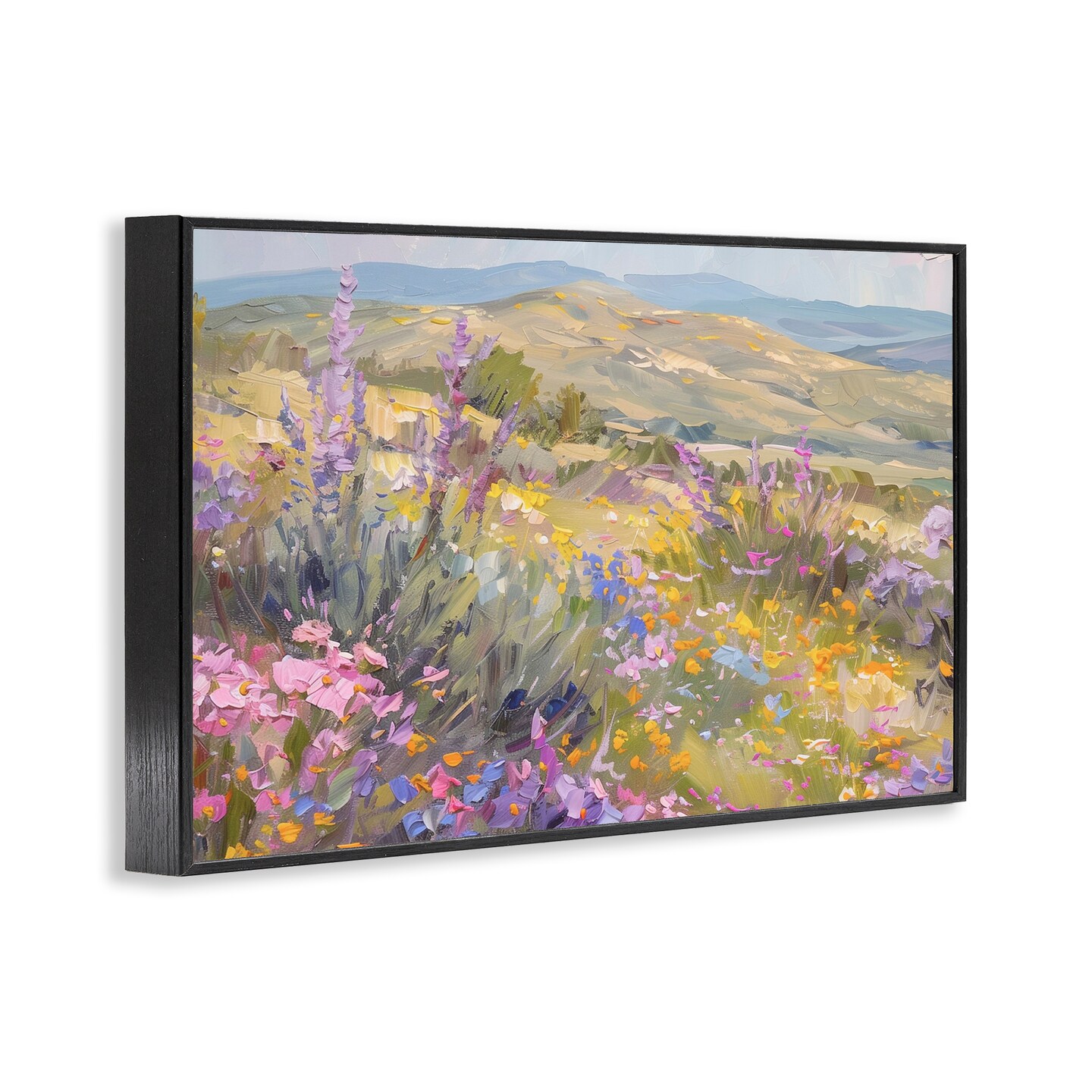 Stupell Industries High Desert Flowers Framed Giclee Wall Art Design by Gina Kelly