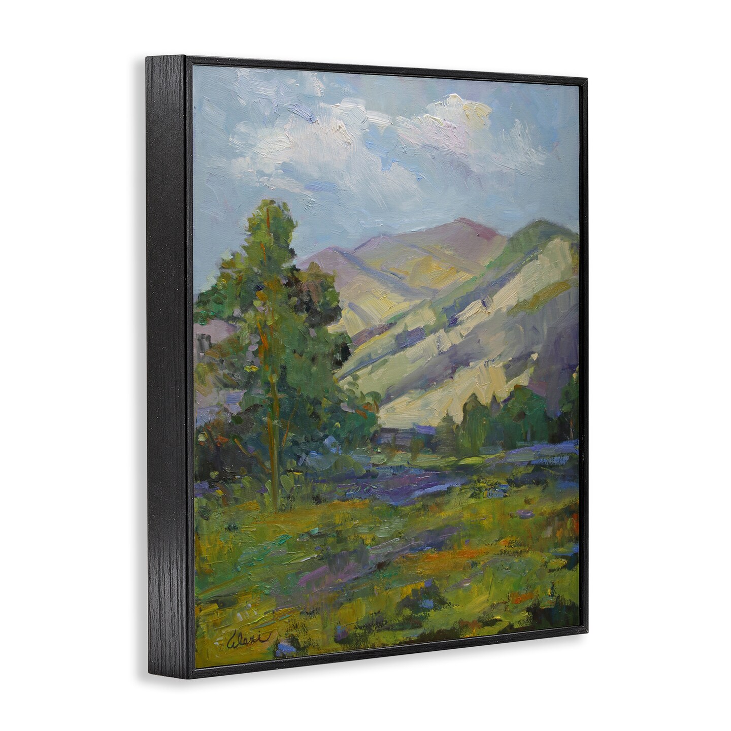 Stupell Industries Spring Day Mountain Framed Giclee Wall Art Design by Alexi Fine