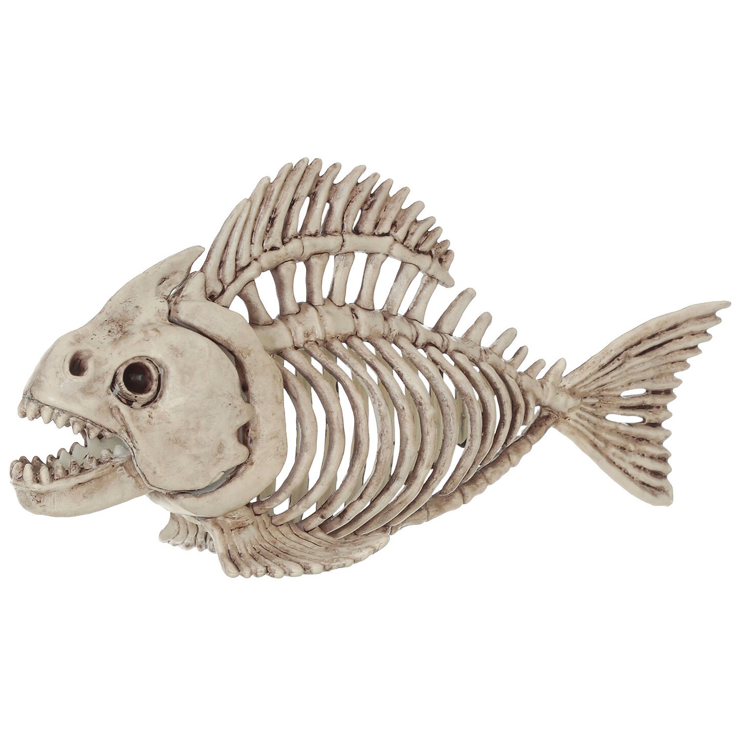 Realistic Skeleton Fish Decoration Ornament