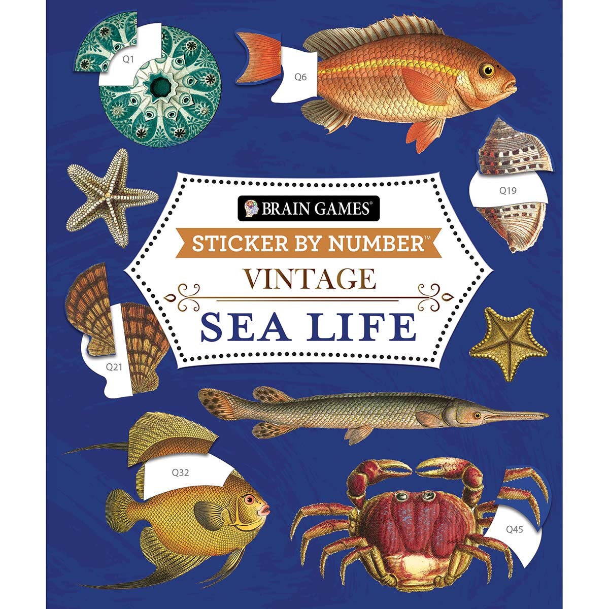 Brain Games Sea Life Sticker by Number