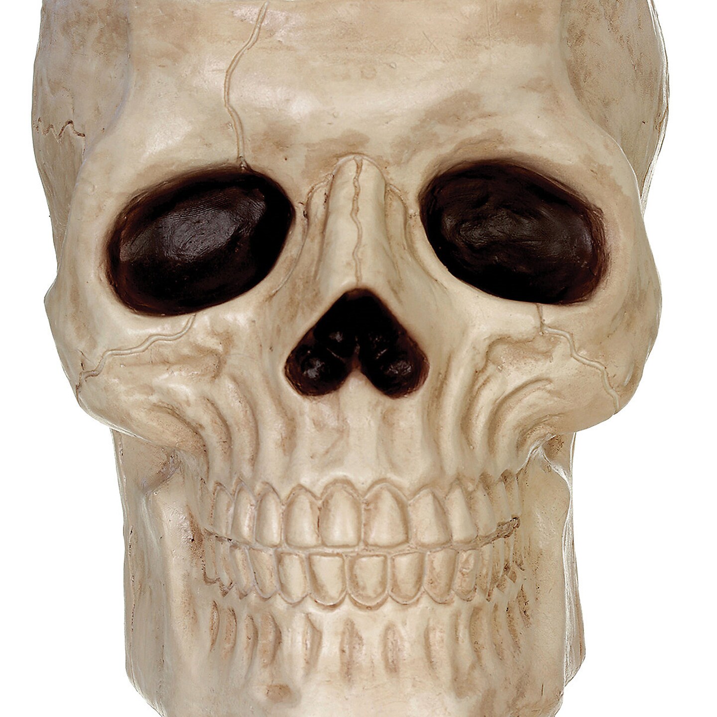 Skull Candy Bowl