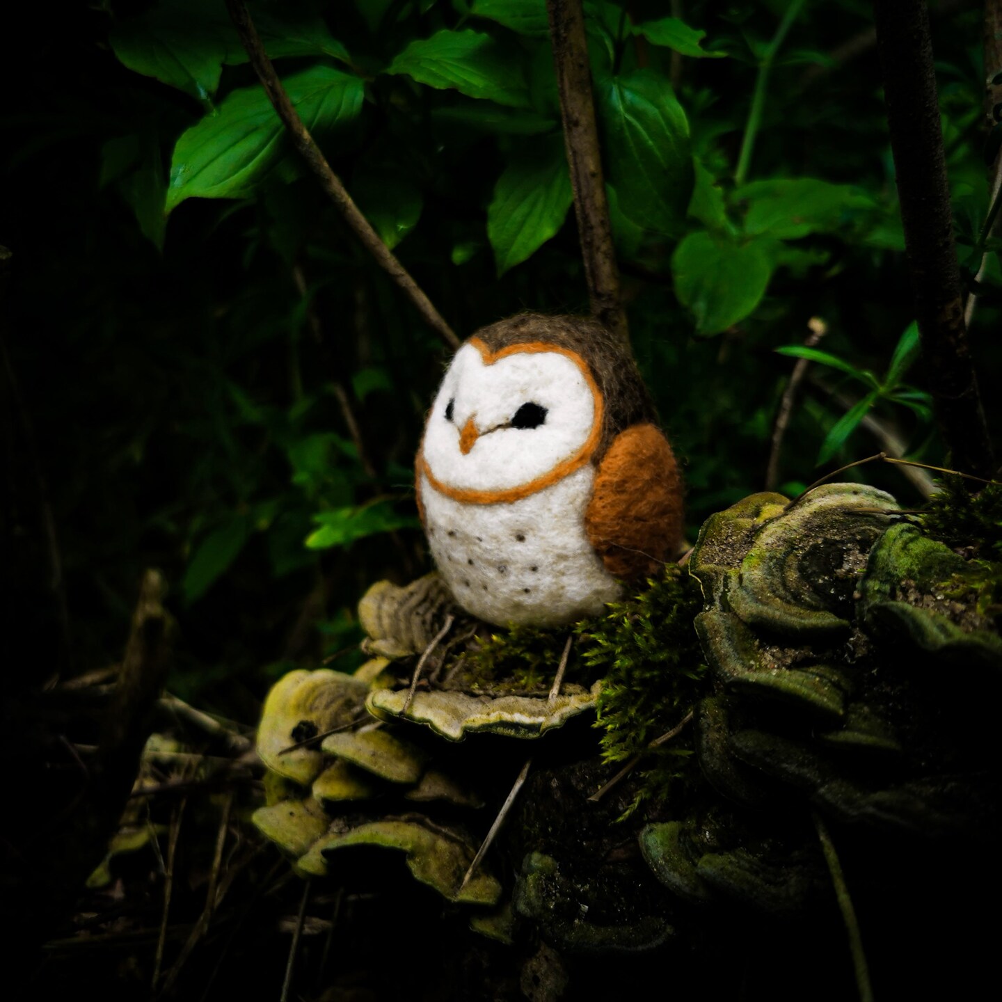 Barn Owl, Needle Felting Kit