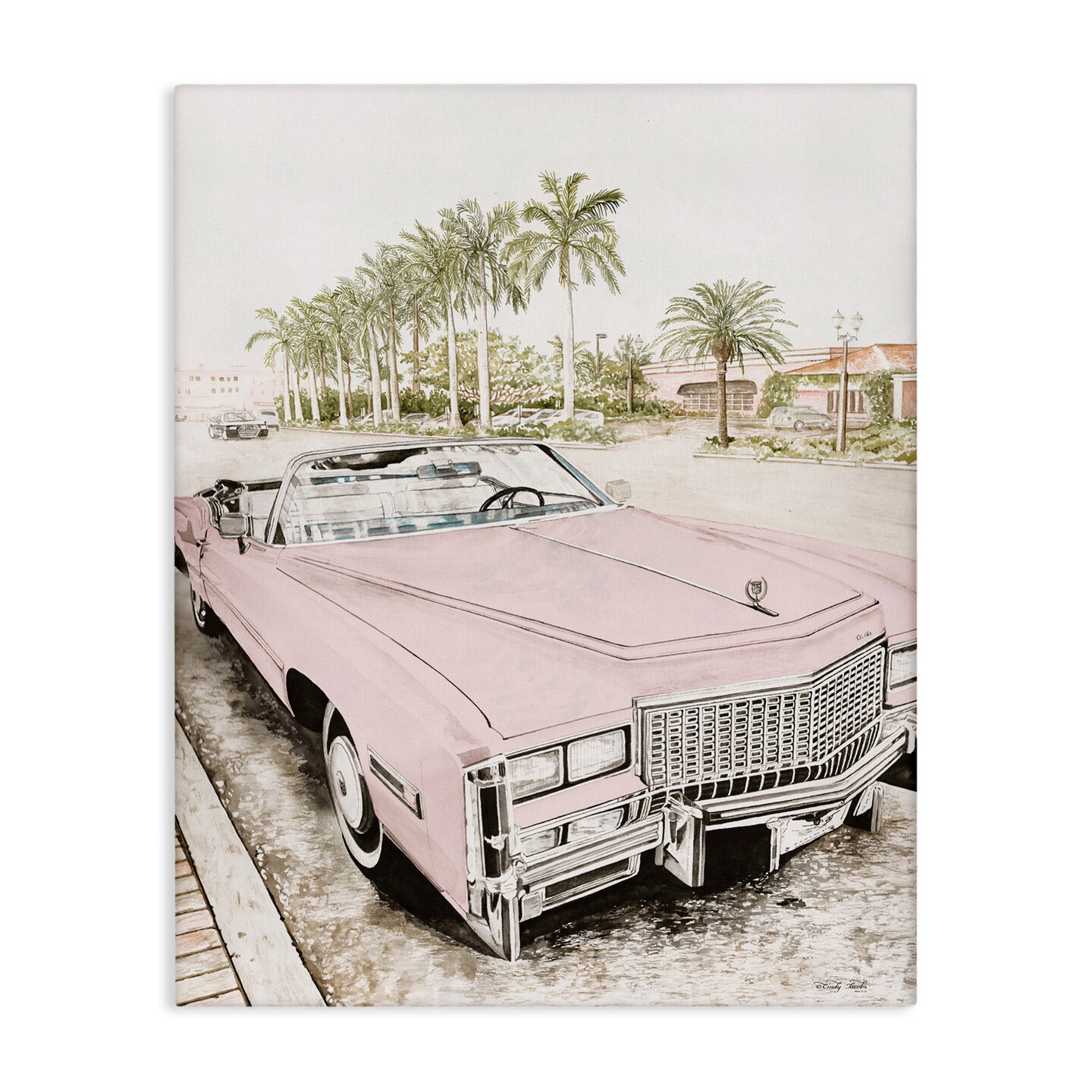 Stupell Industries Baby Pink Retro Convertible Canvas, design by Cindy Jacobs
