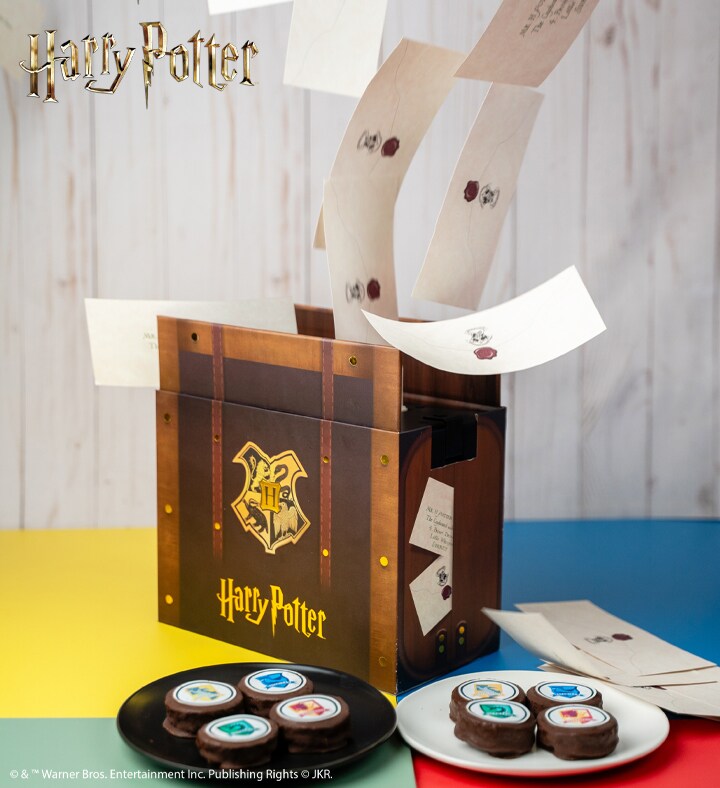 Dad&#x27;s Harry Potter Acceptance Letter Bundle