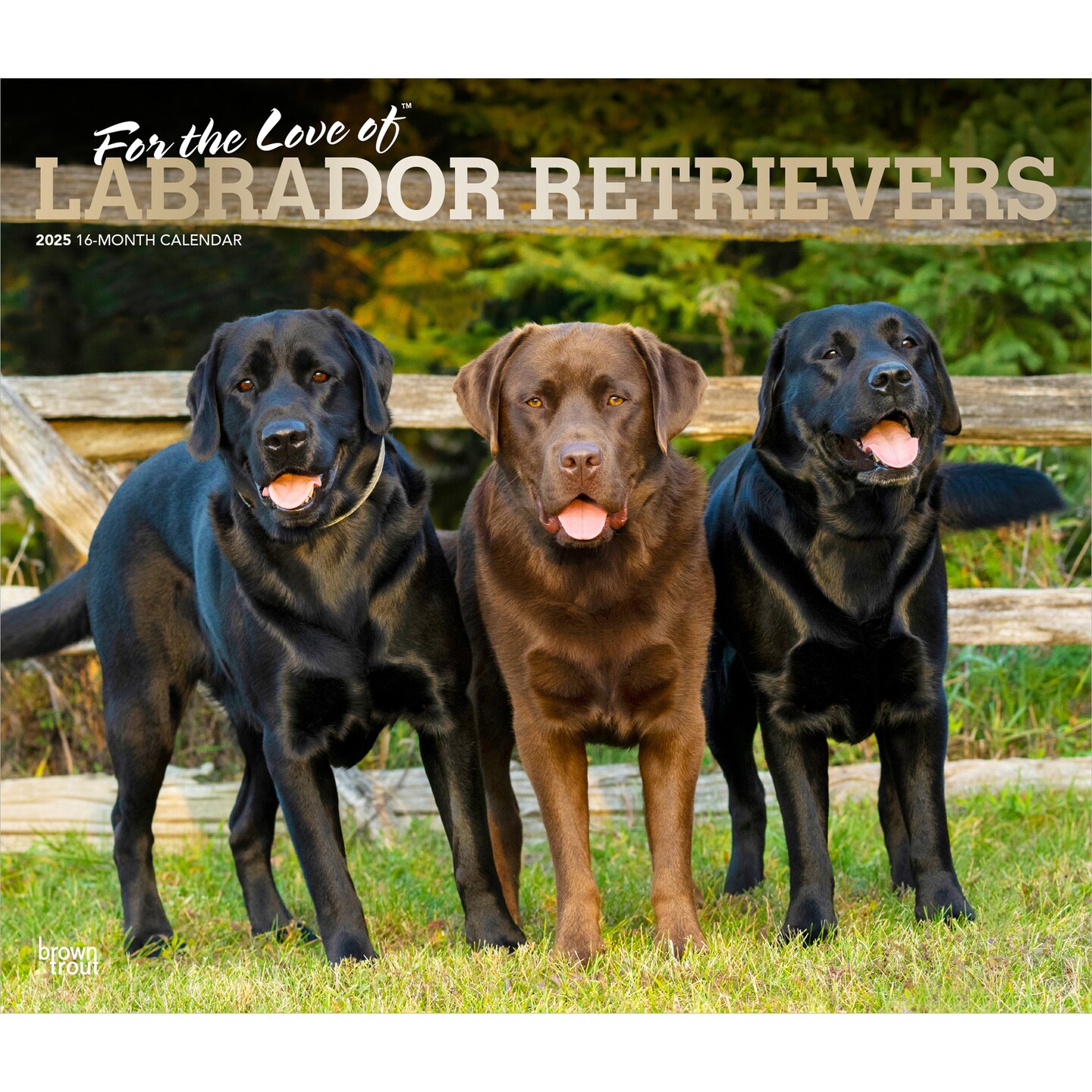 For the Love of Labrador Retrievers | 2025 14 x 24 Inch Monthly Deluxe Wall Calendar | Foil Stamped Cover | Plastic-Free | BrownTrout | Animal Dog Breeds