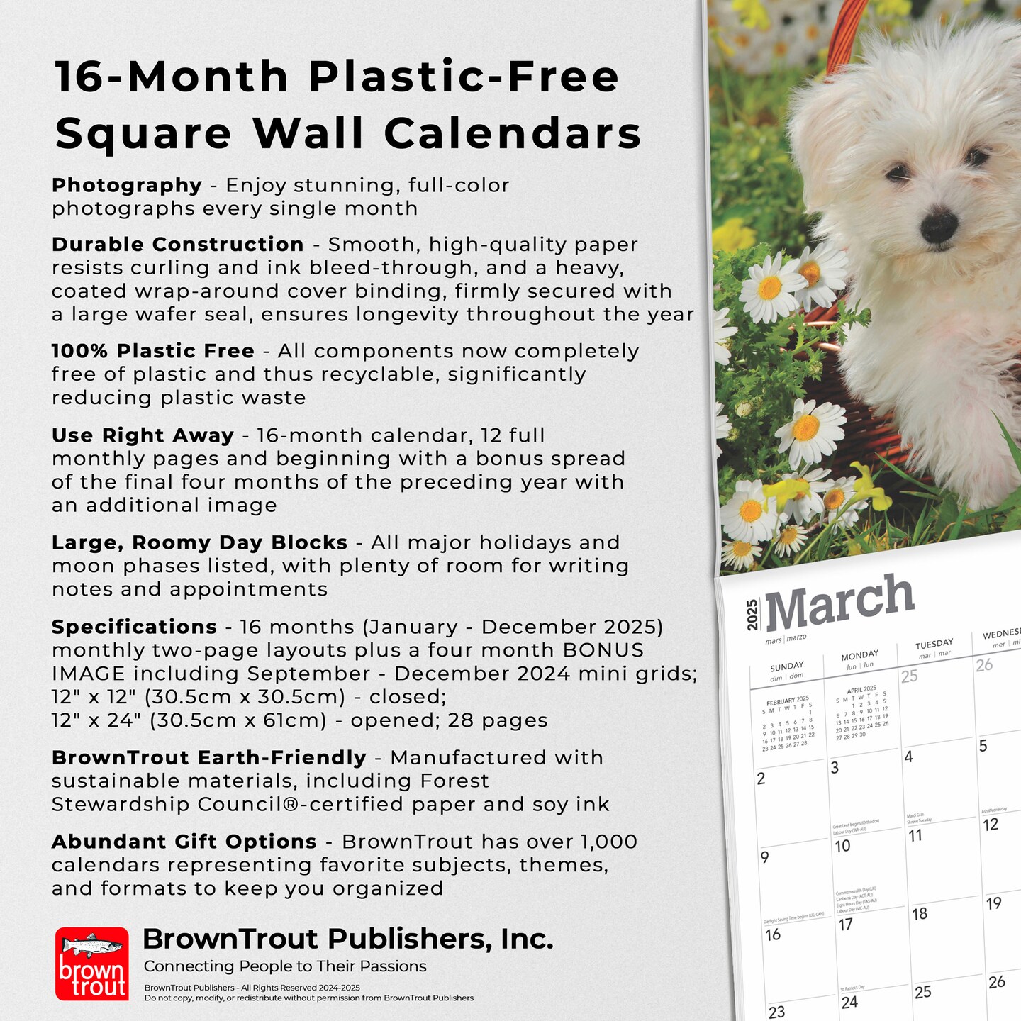 Maltese | 2025 12 x 24 Inch Monthly Square Wall Calendar | Plastic-Free | BrownTrout | Animals Small Dog Breeds
