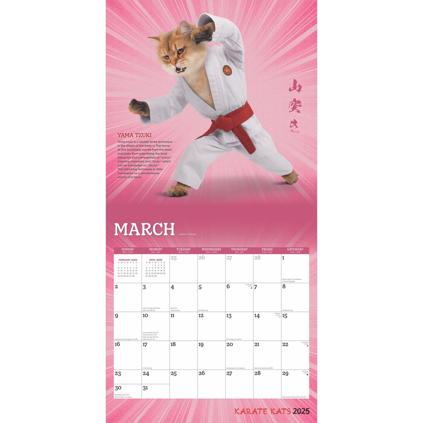 Karate Cats OFFICIAL | 2025 12 x 24 Inch Monthly Square Wall Calendar | Plastic-Free | BrownTrout | Pets Funny Animals Feline