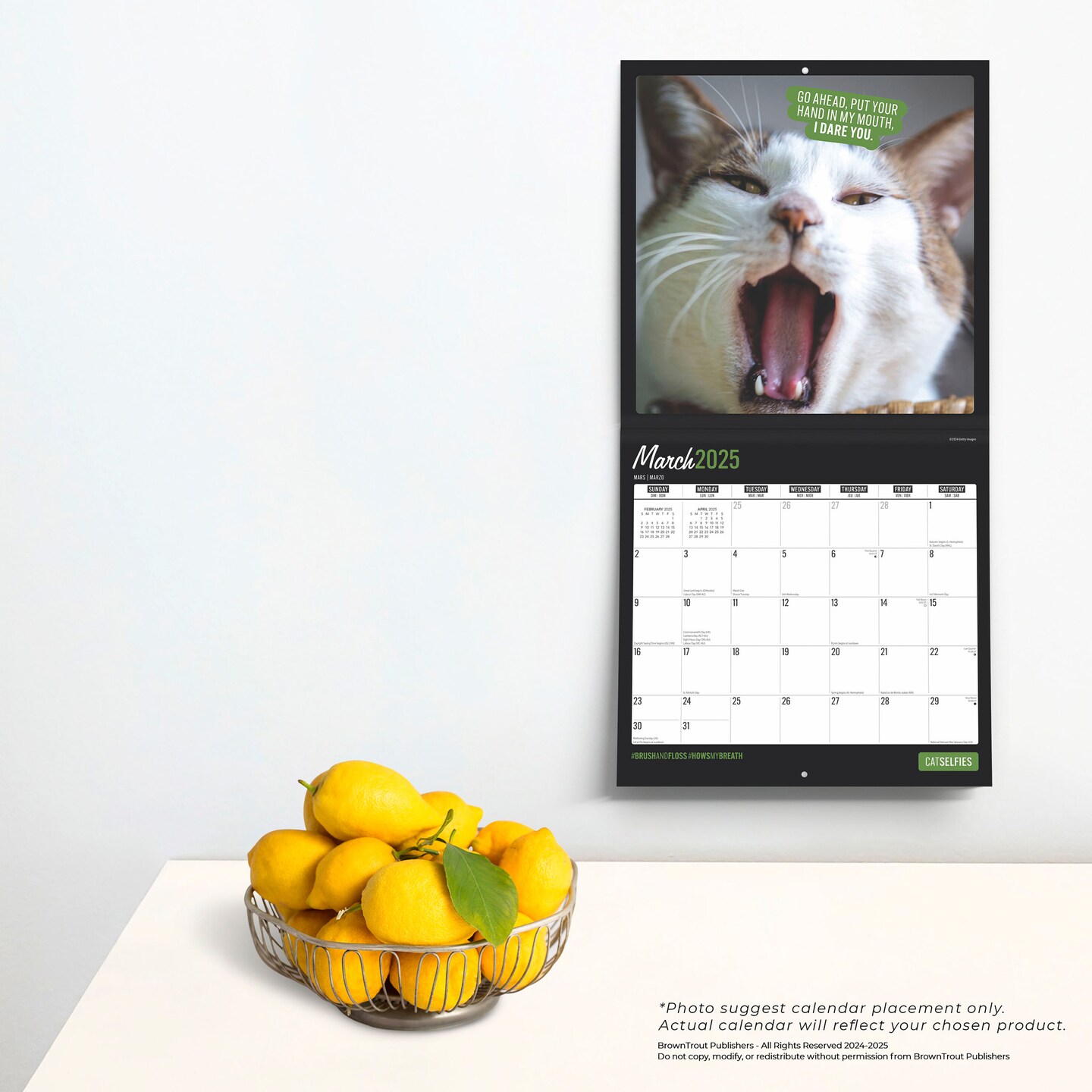 Cat Selfies | 2025 12 x 24 Inch Monthly Square Wall Calendar | Plastic-Free | BrownTrout | Pet Humor Kitten Feline