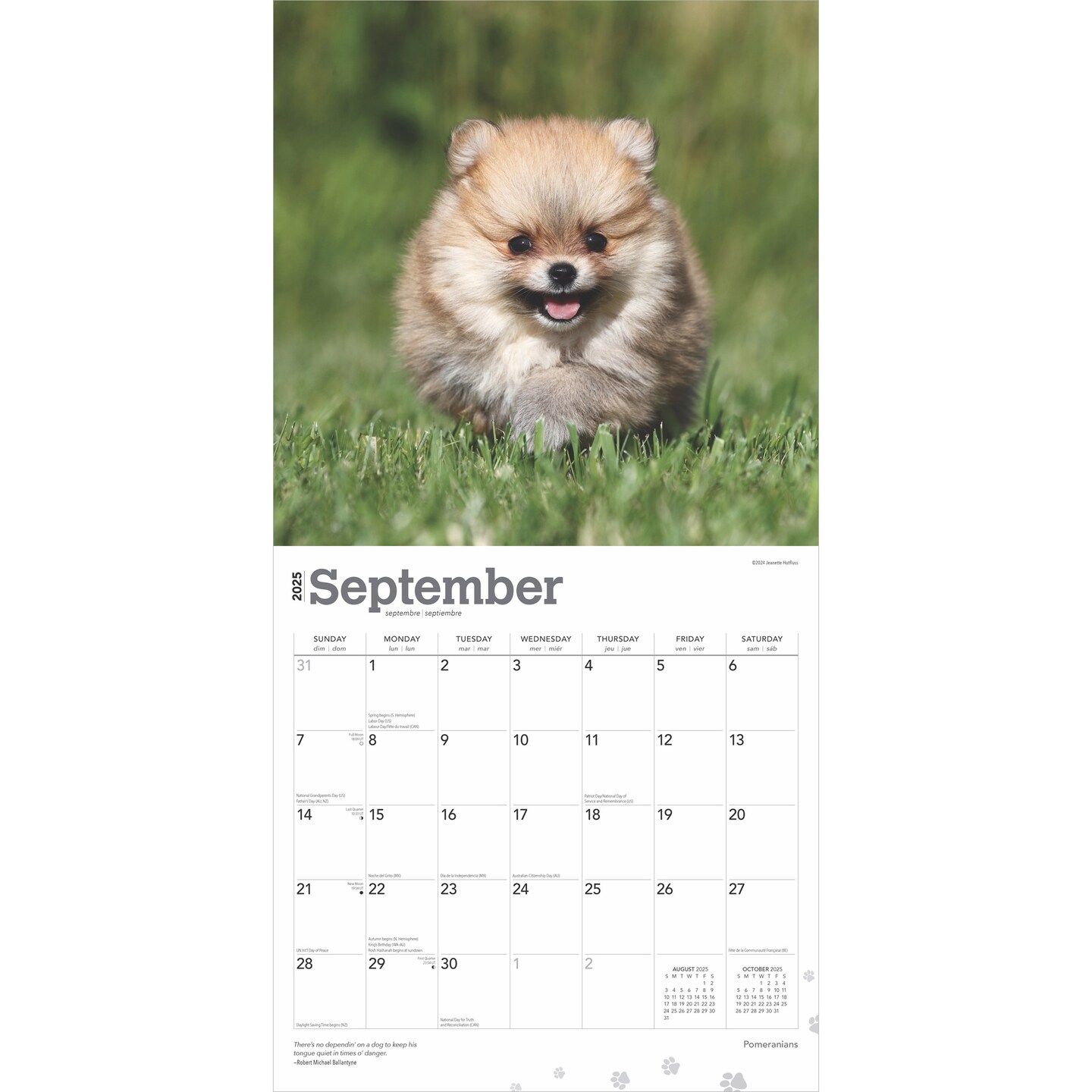 Pomeranians | 2025 12 x 24 Inch Monthly Square Wall Calendar | Plastic-Free | BrownTrout | Animals Small Dog Breeds