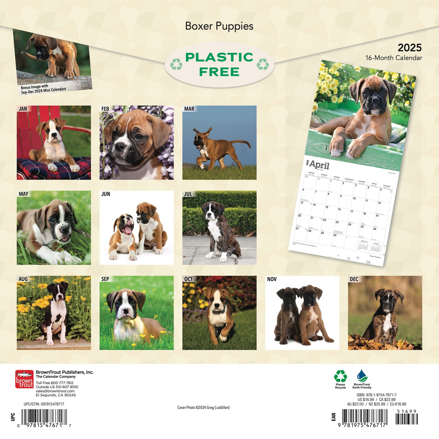 Boxer Puppies | 2025 12 x 24 Inch Monthly Square Wall Calendar | Plastic-Free | BrownTrout | Animals Dog Breeds Puppy
