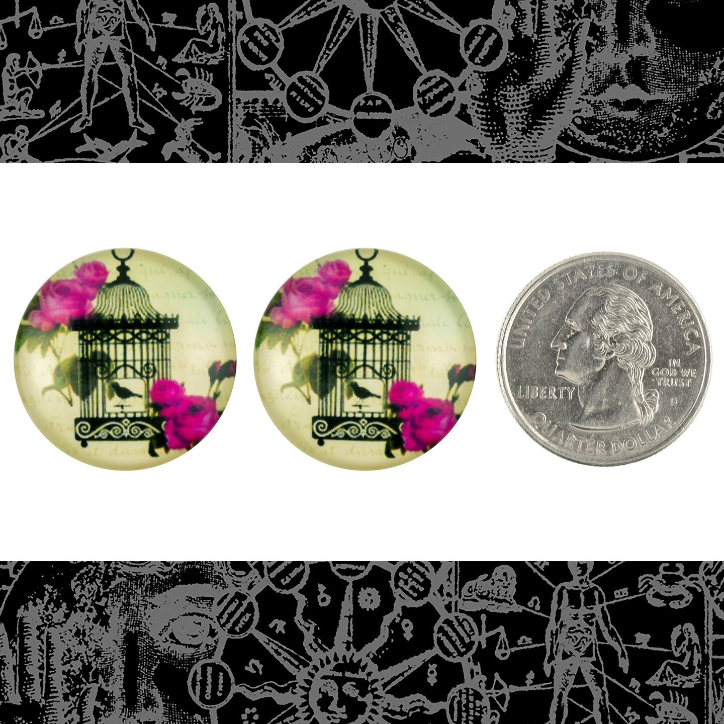 25mm Round Bird in Ornate Birdcage Cabochons Set of Two - CAB62