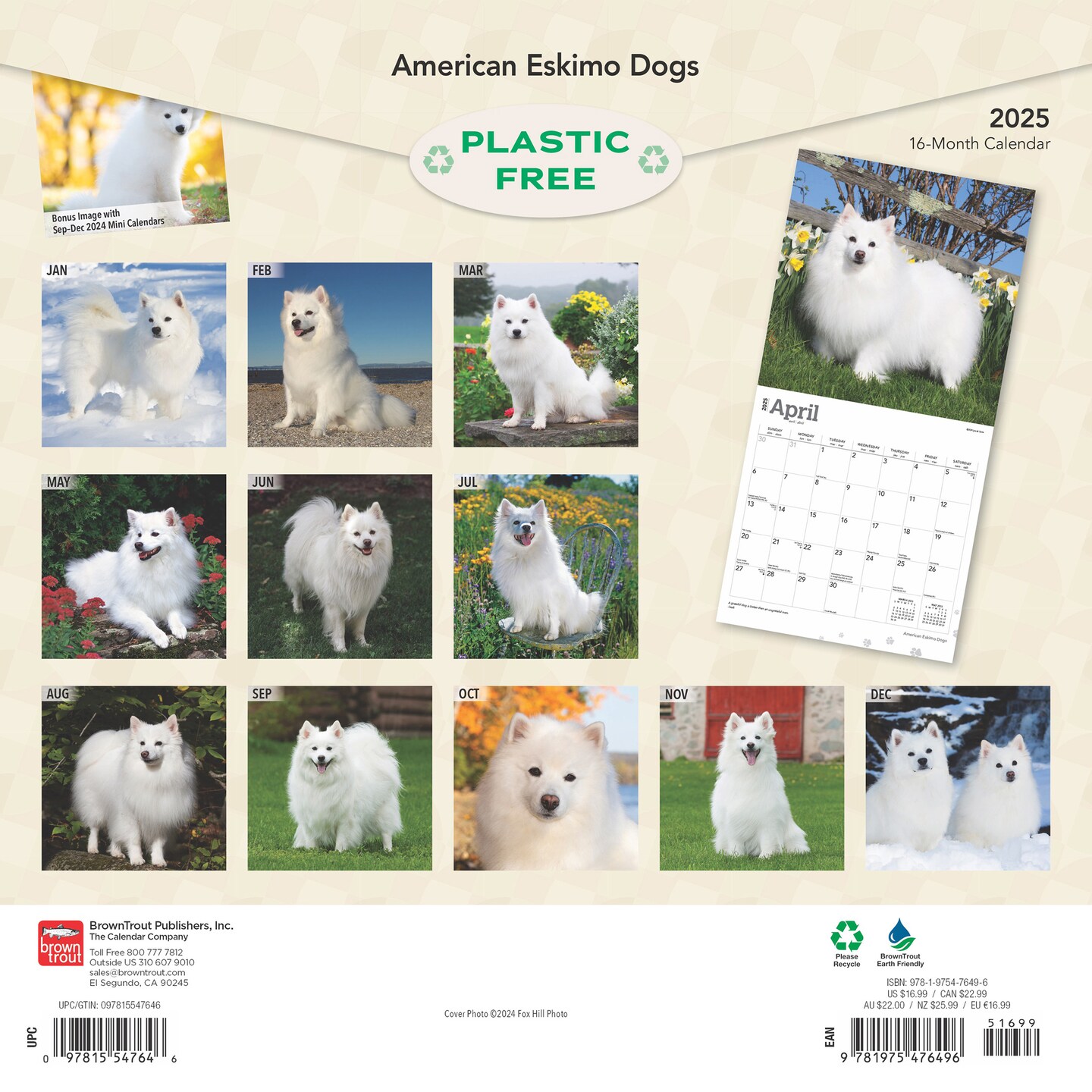 American Eskimo Dogs | 2025 12 x 24 Inch Monthly Square Wall Calendar | Plastic-Free | BrownTrout | Animals Dog Breeds