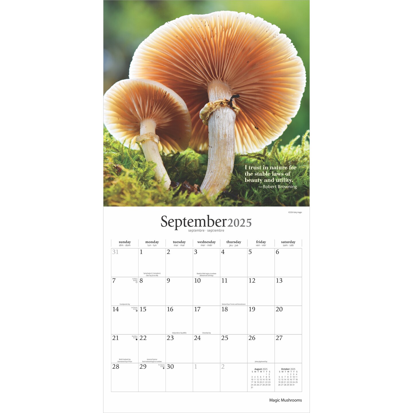 Magic Mushrooms | 2025 12 x 24 Inch Monthly Square Wall Calendar | Plastic-Free | Brush Dance | Fungus Fungi Microorganism
