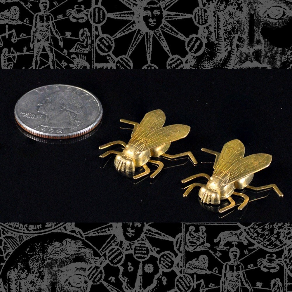 Raw Brass Life-Sized Fly Charm with Bendable Legs - Set of Two - XXX - B-C130