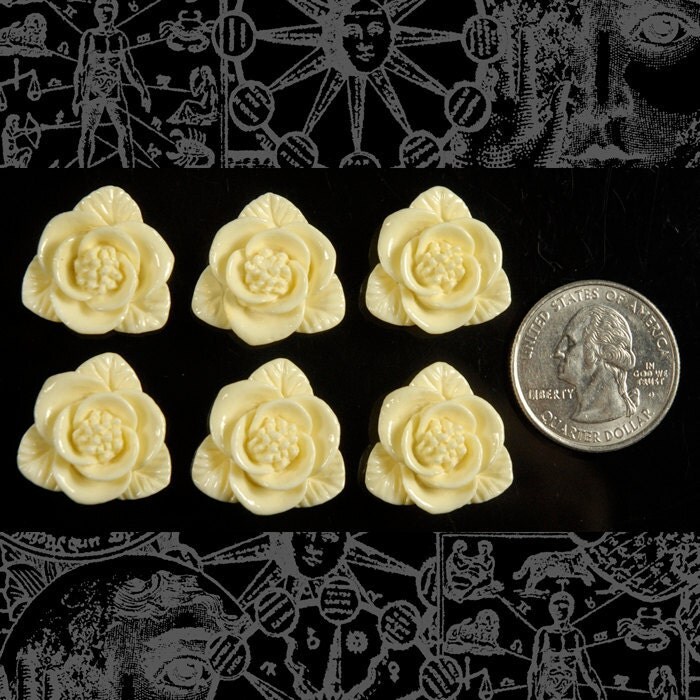 Cream Rose Cameo Cabochons 21mm x 22mm - Set of Six - Flwr78
